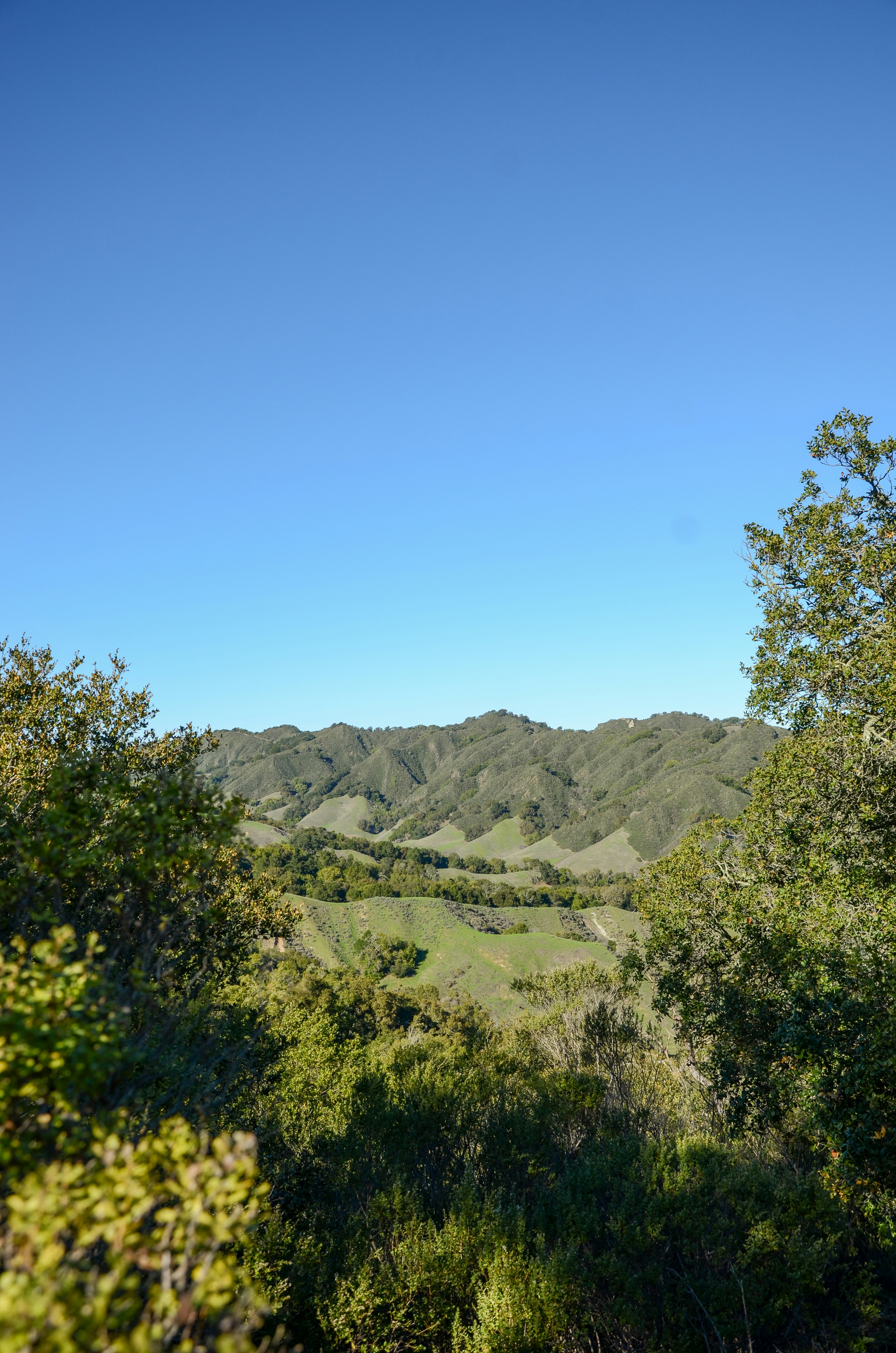 Photo by akshay_madivanan