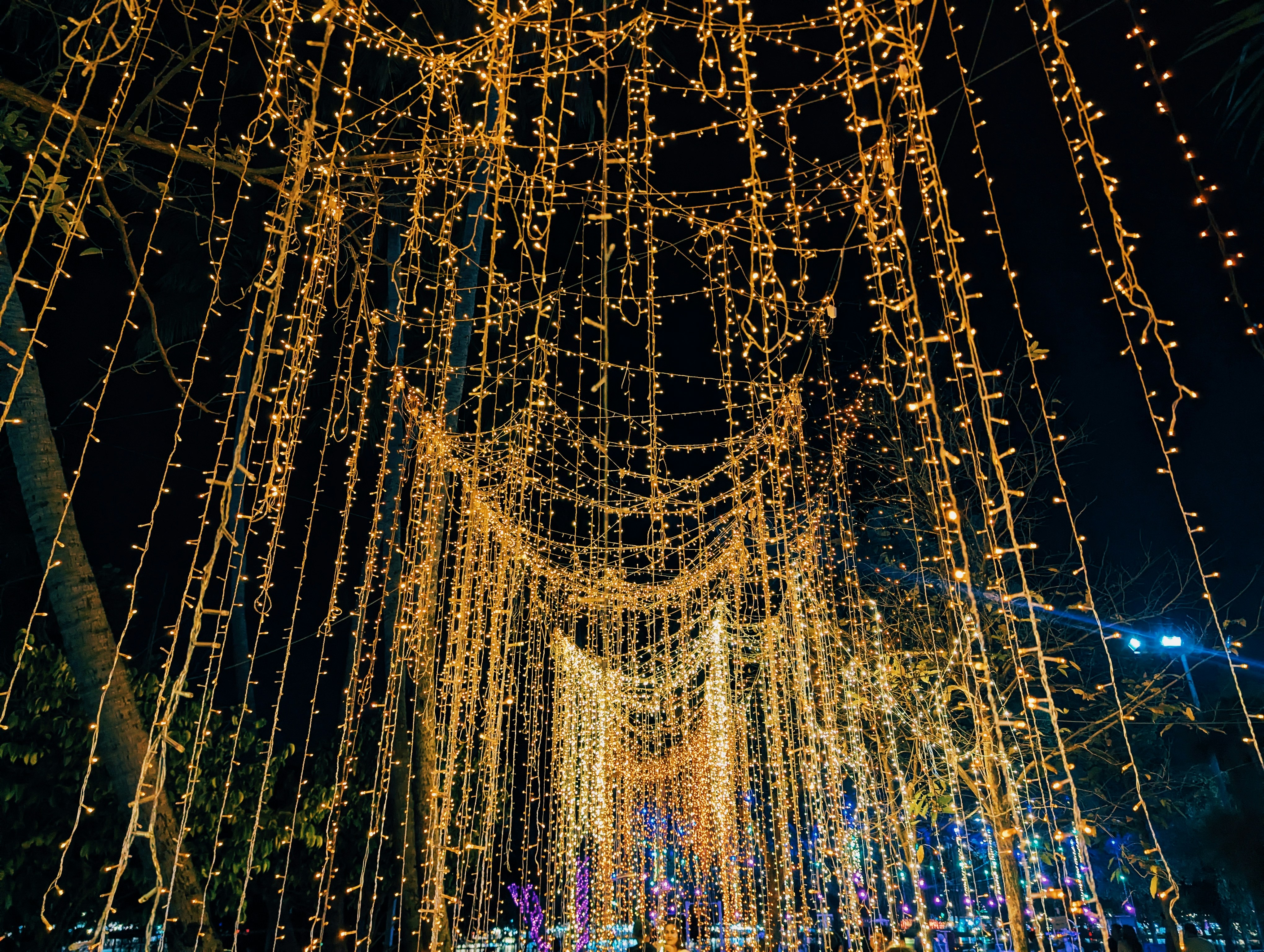 Pathway decorated with glowing string lights at night