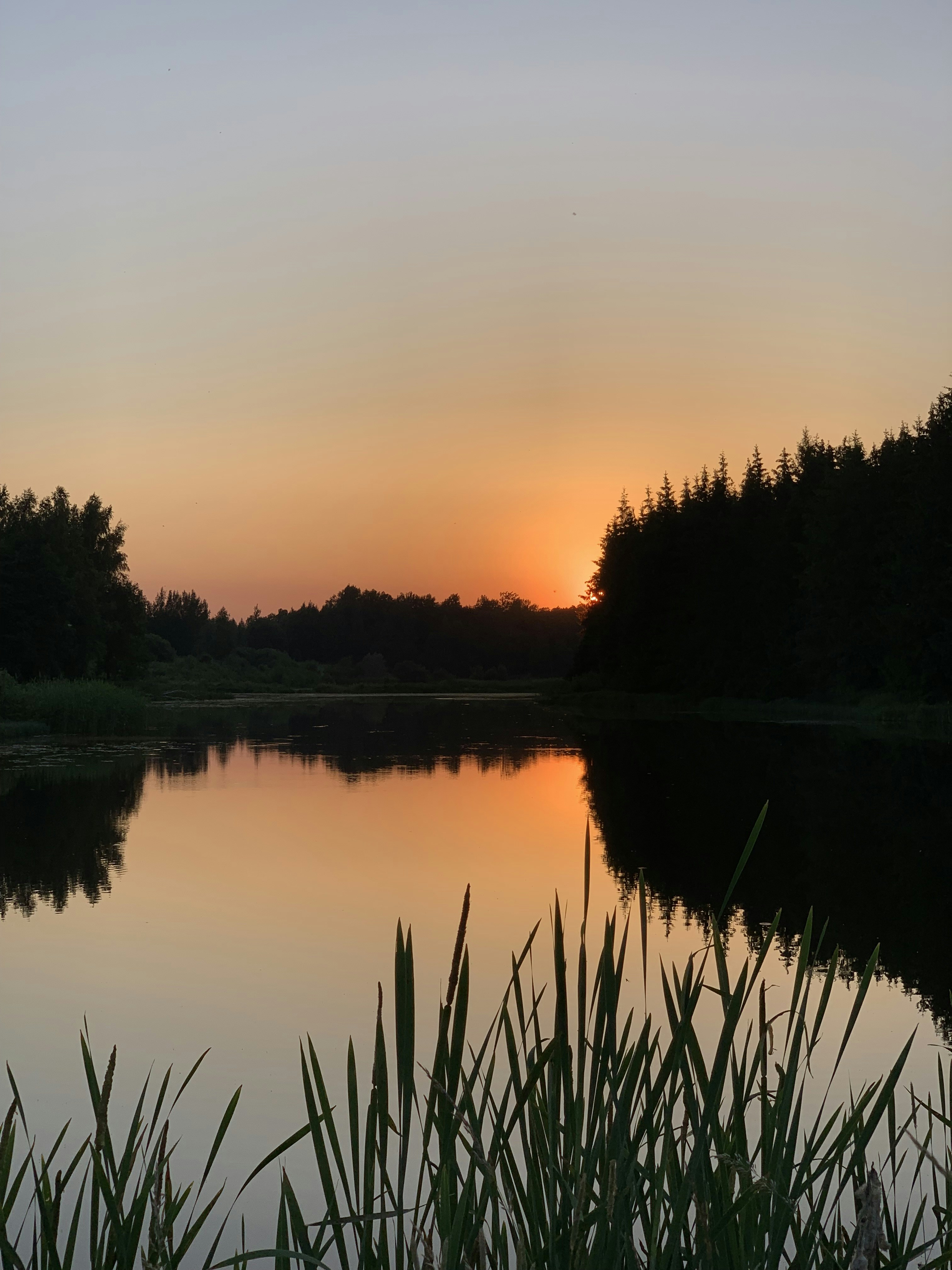 Photo by sergei_gussev