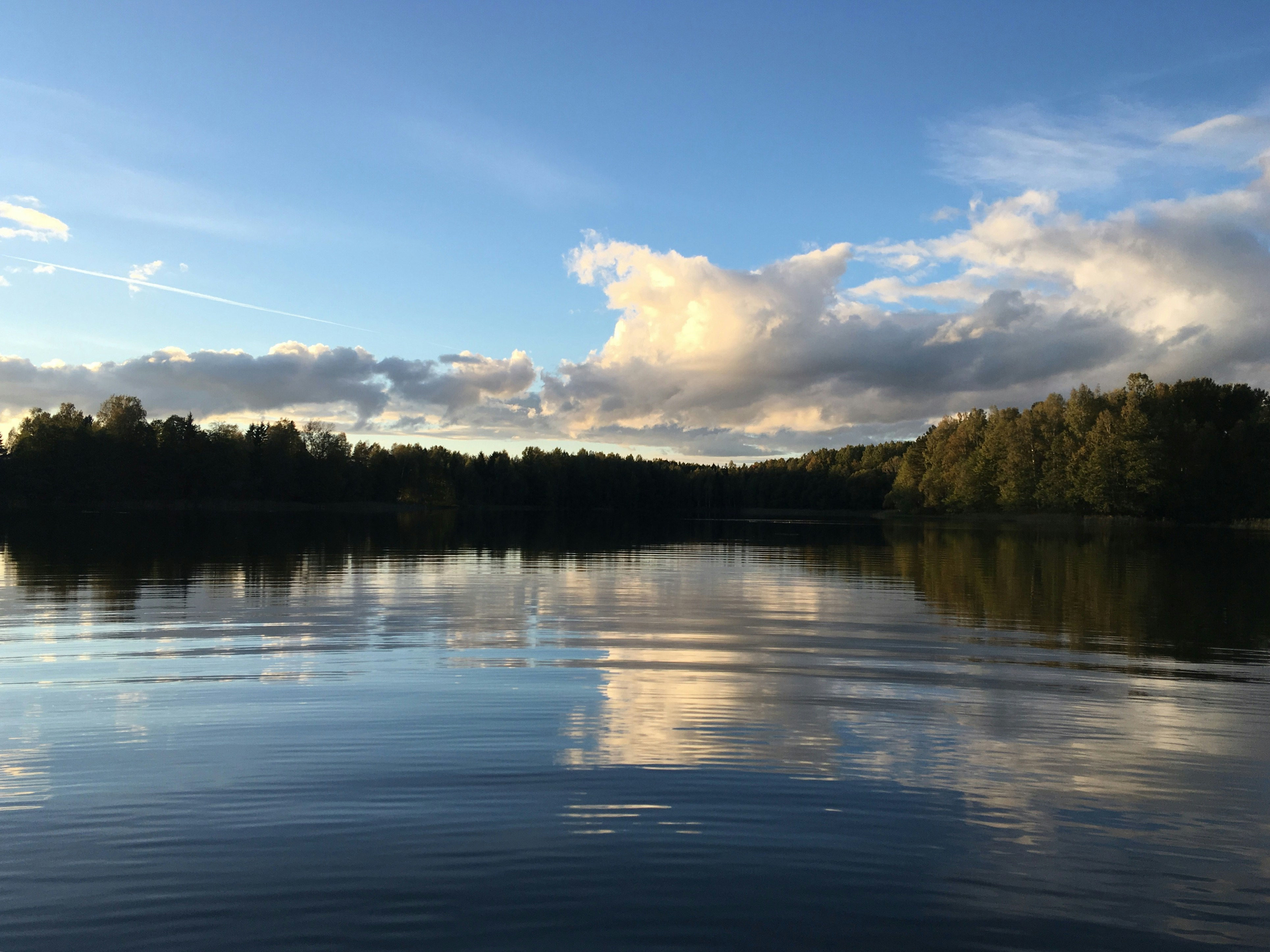 Photo by sergei_gussev