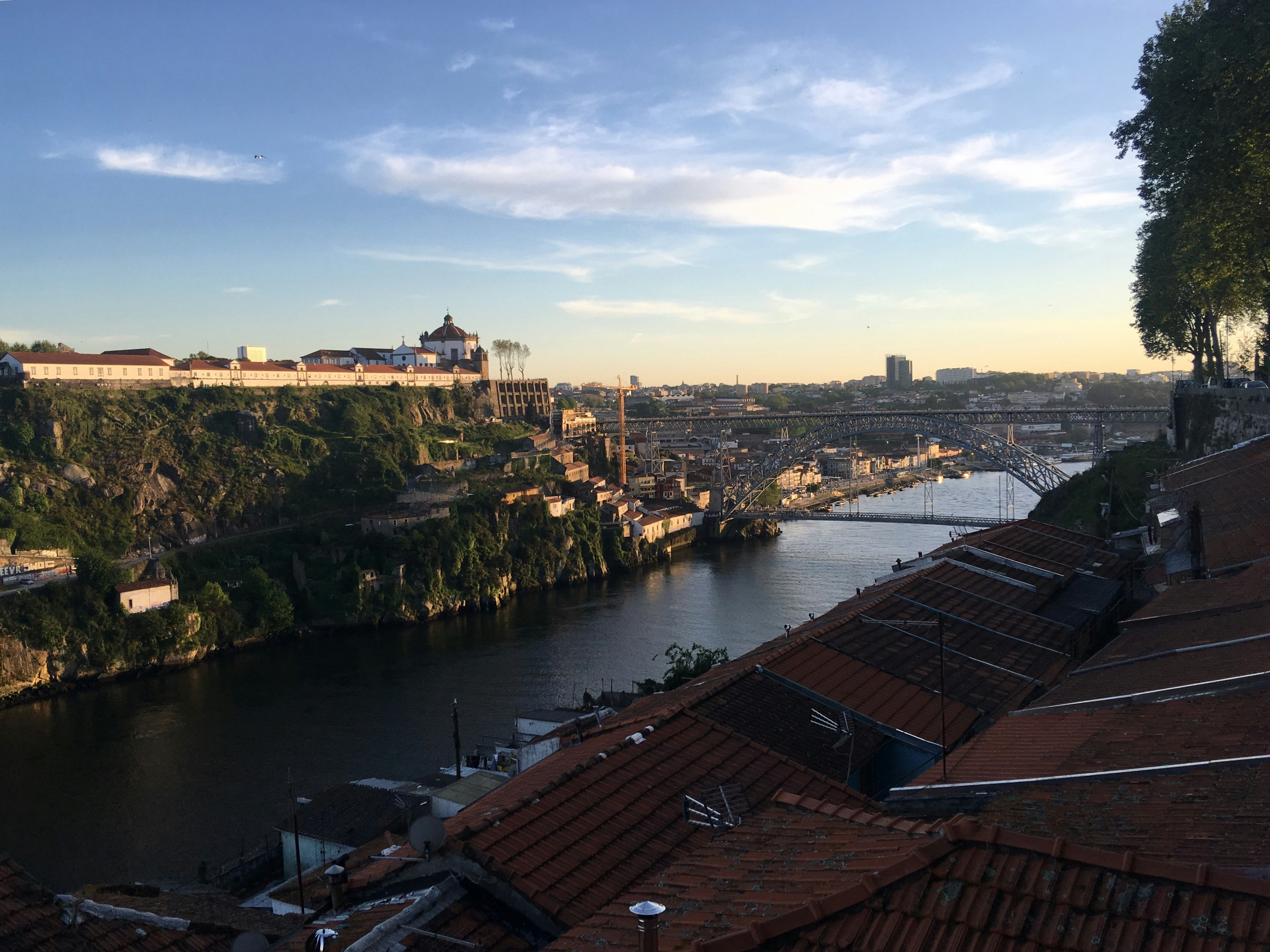 Photo by sergei_gussev