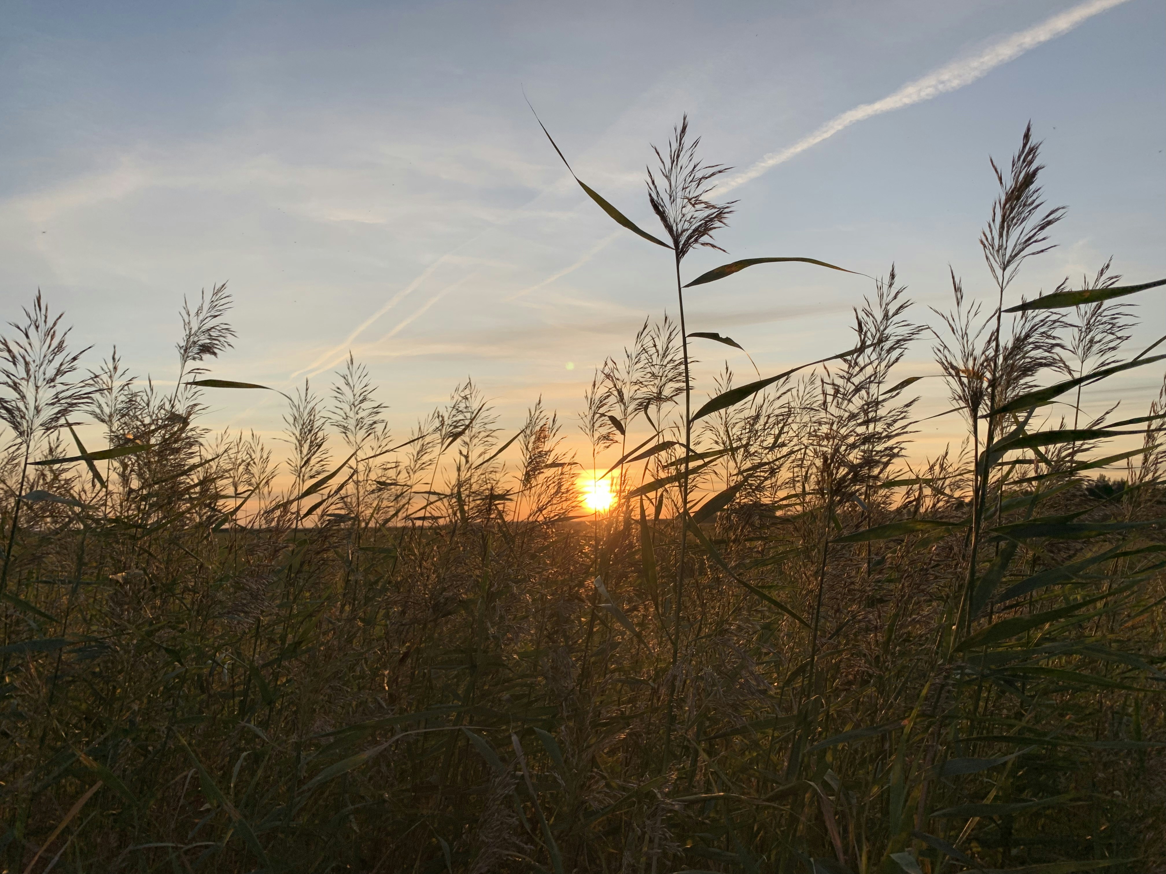 Photo by sergei_gussev