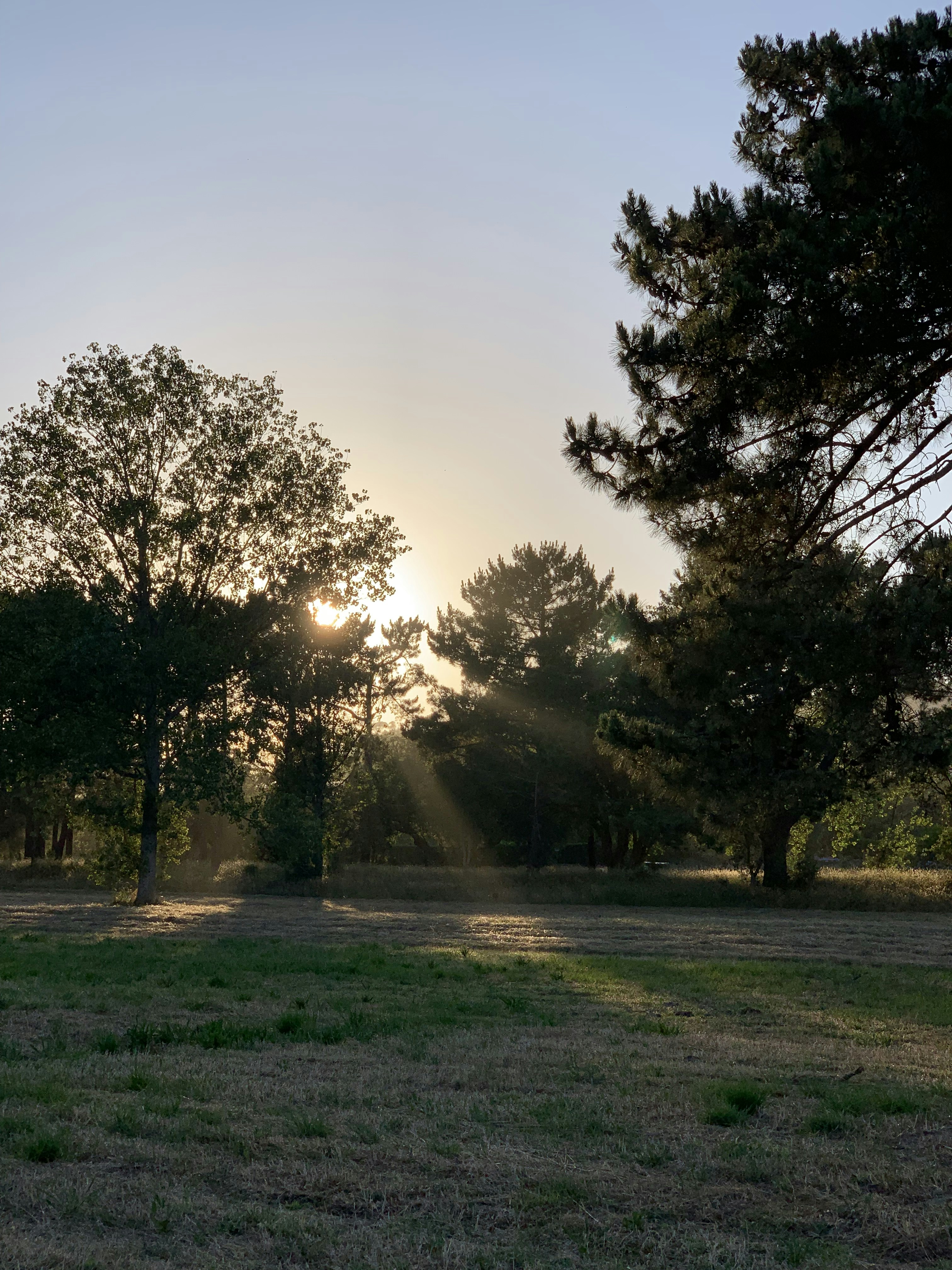 Photo by sergei_gussev