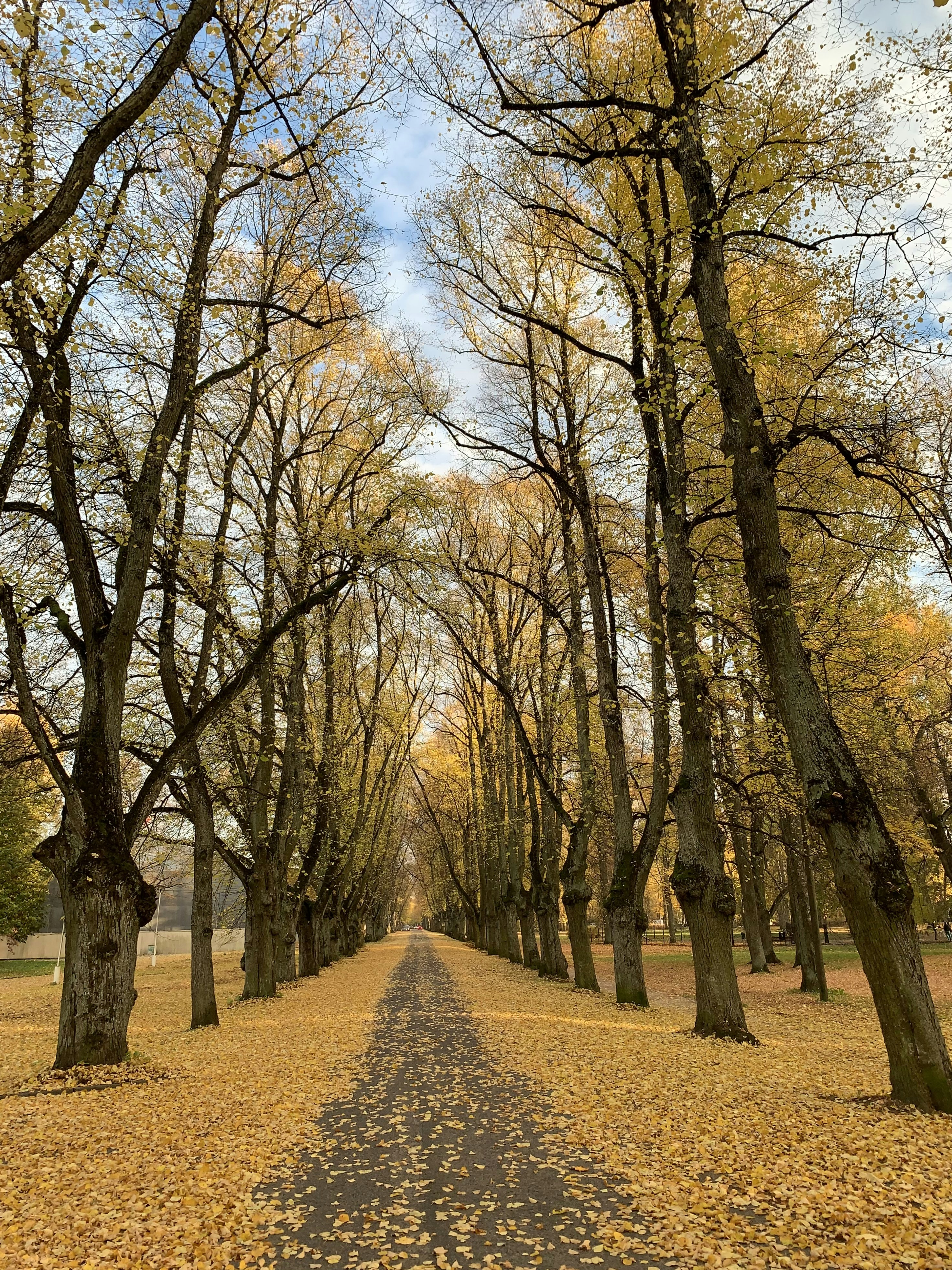 Photo by sergei_gussev