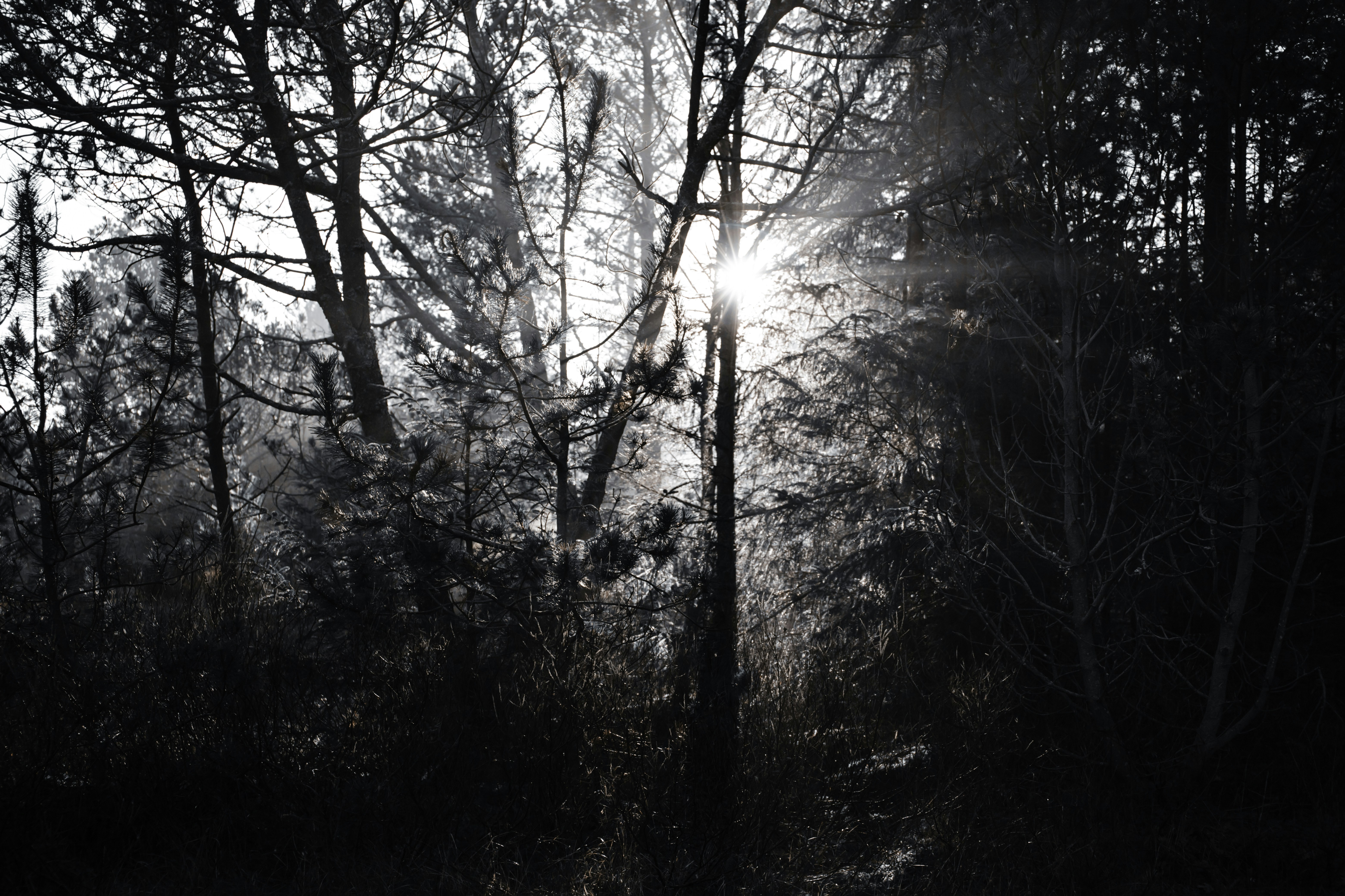 Photo by visionaryconcepts