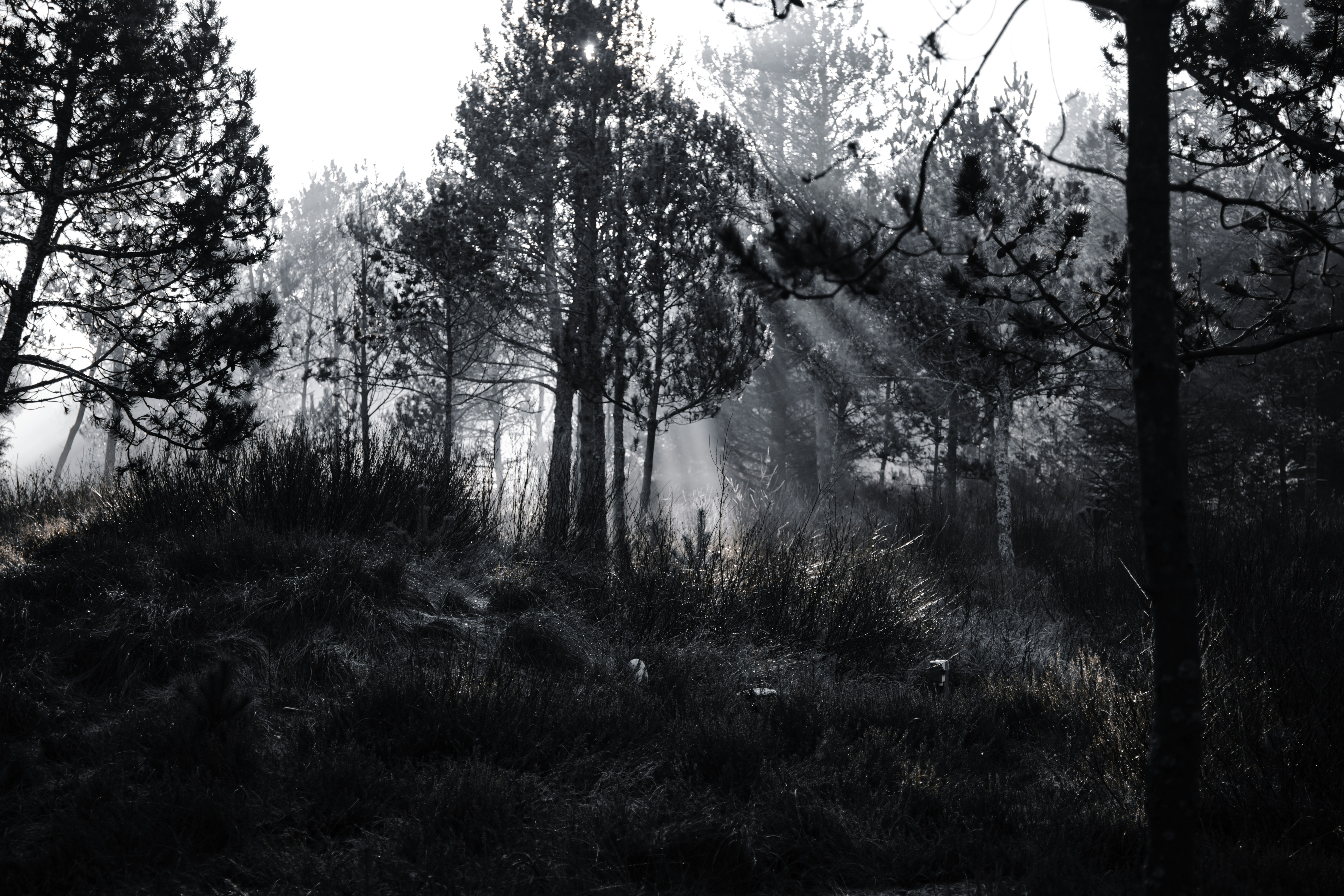 Photo by visionaryconcepts