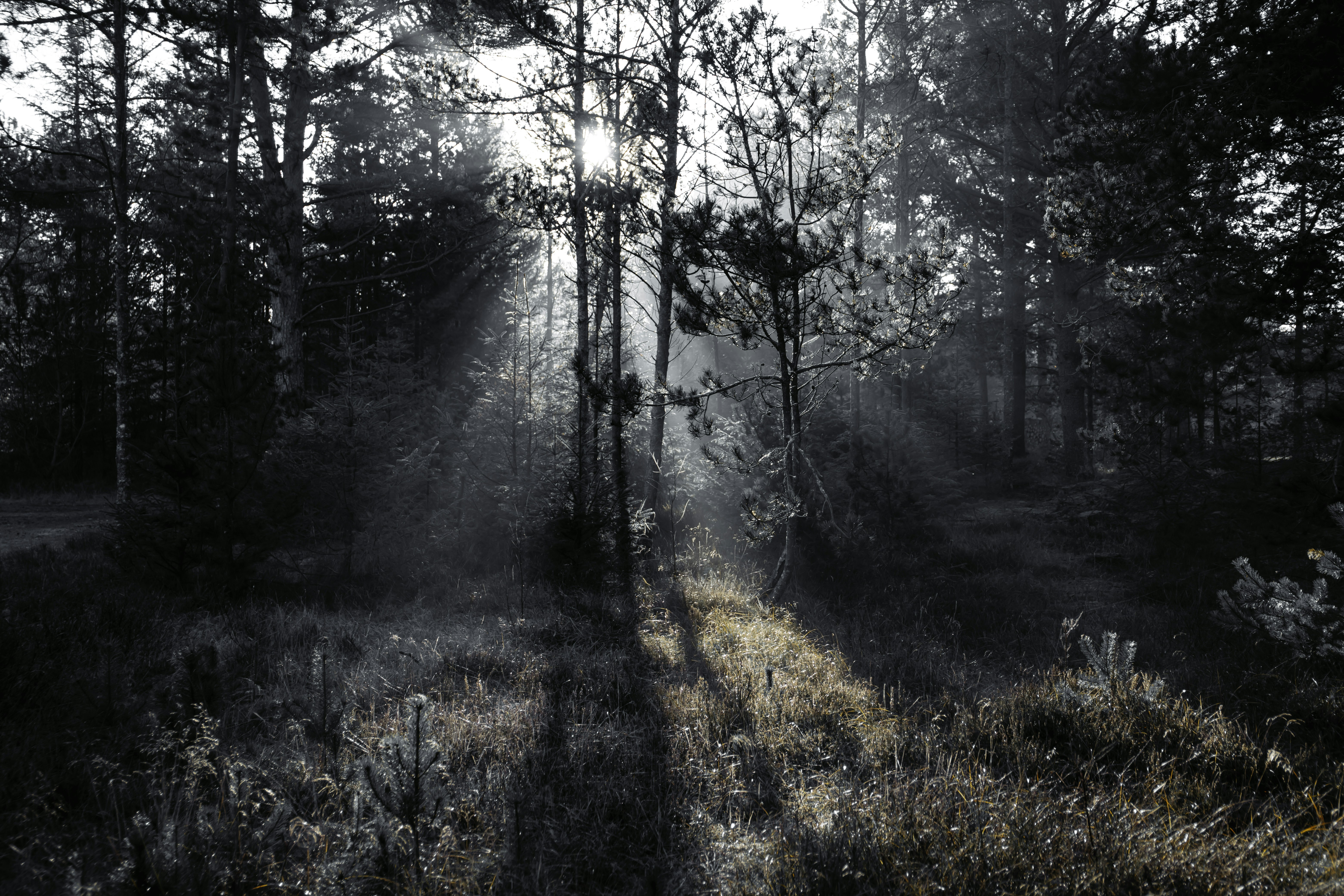 Photo by visionaryconcepts