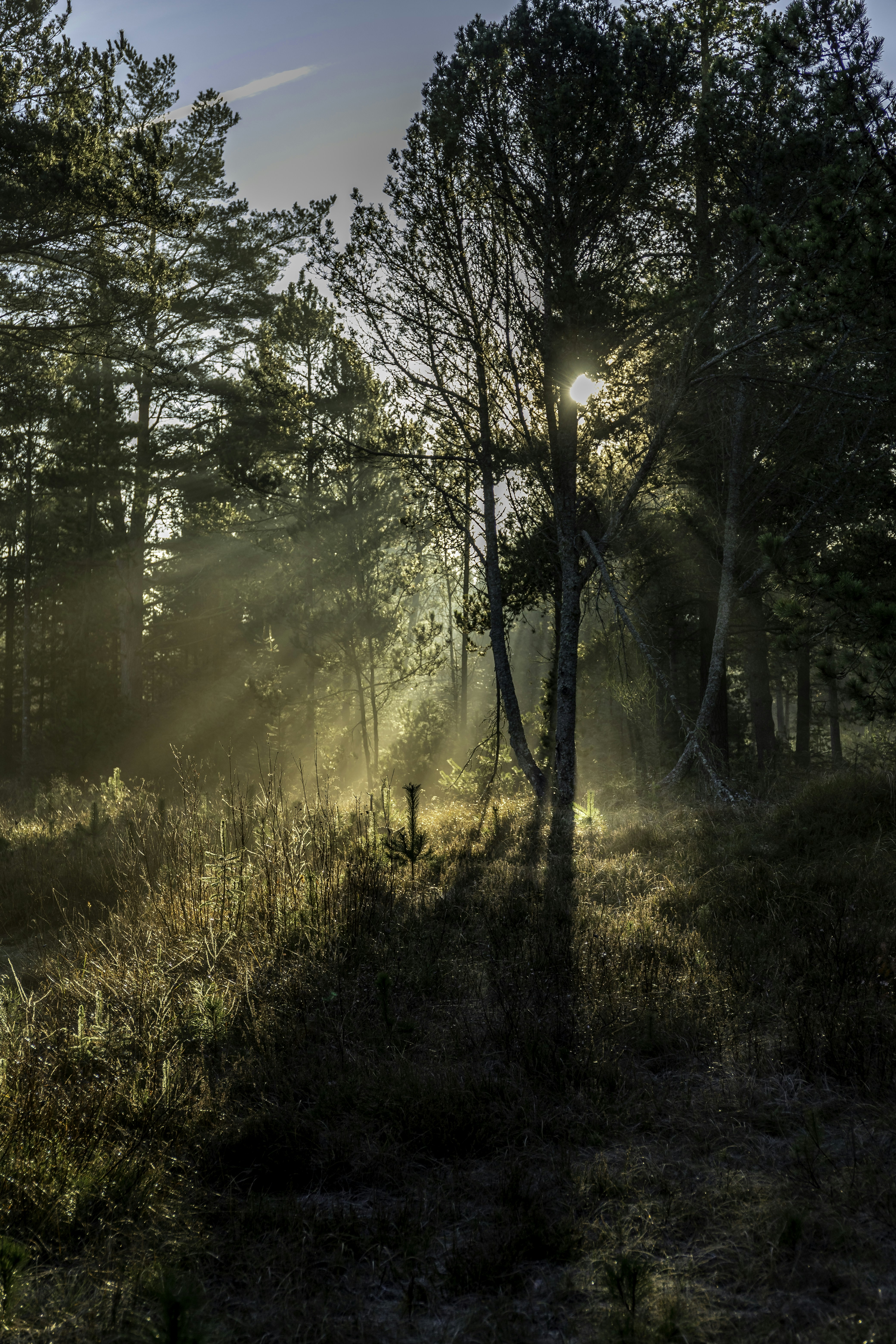 Photo by visionaryconcepts