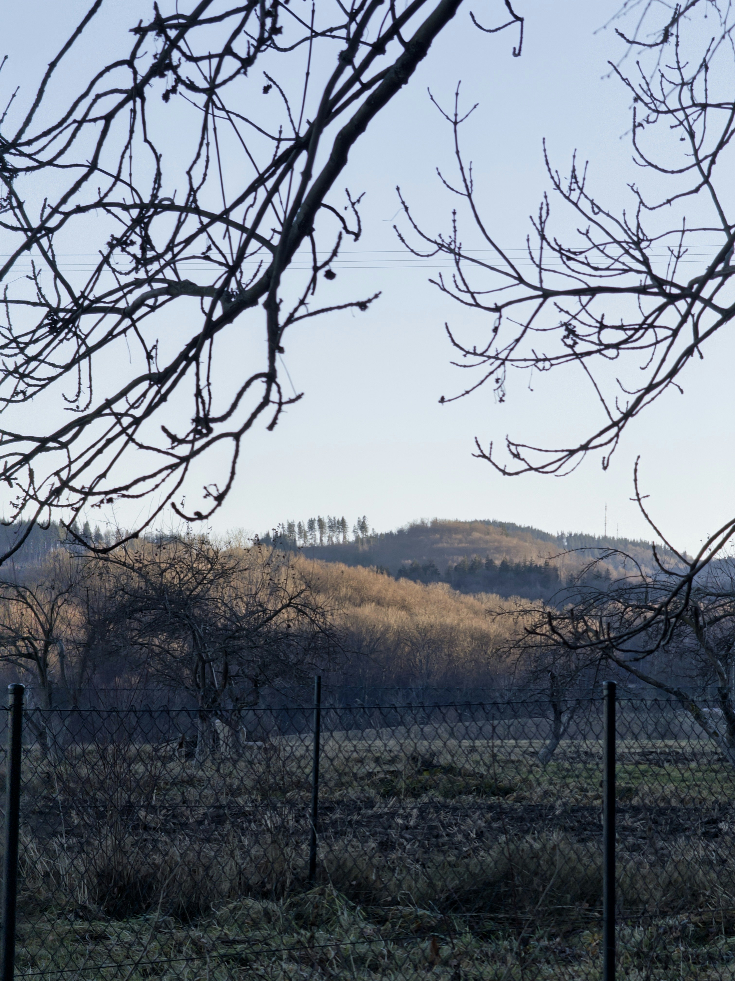 Photo by andreas_kruszakin