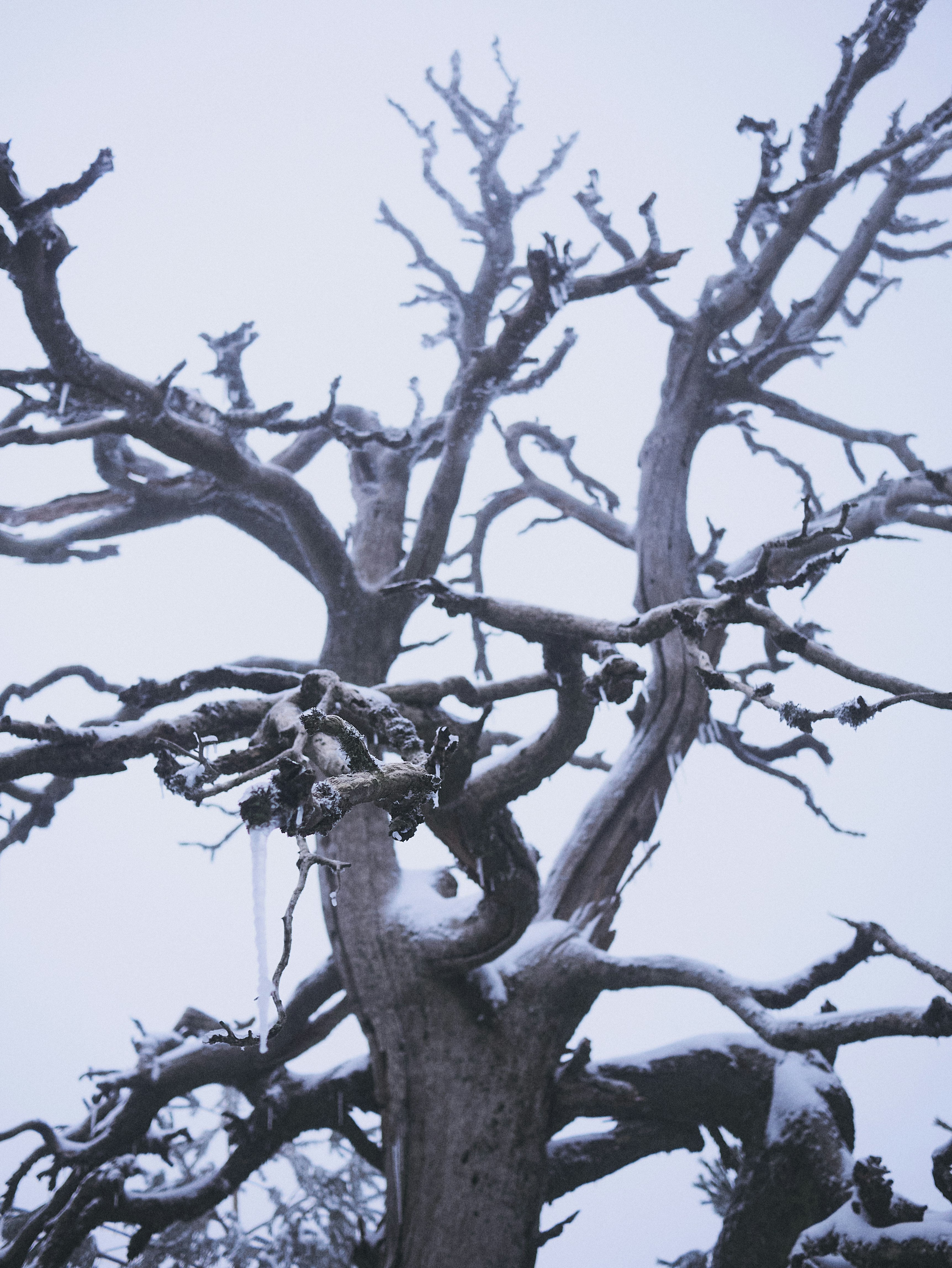 Photo by gabriel_oliver