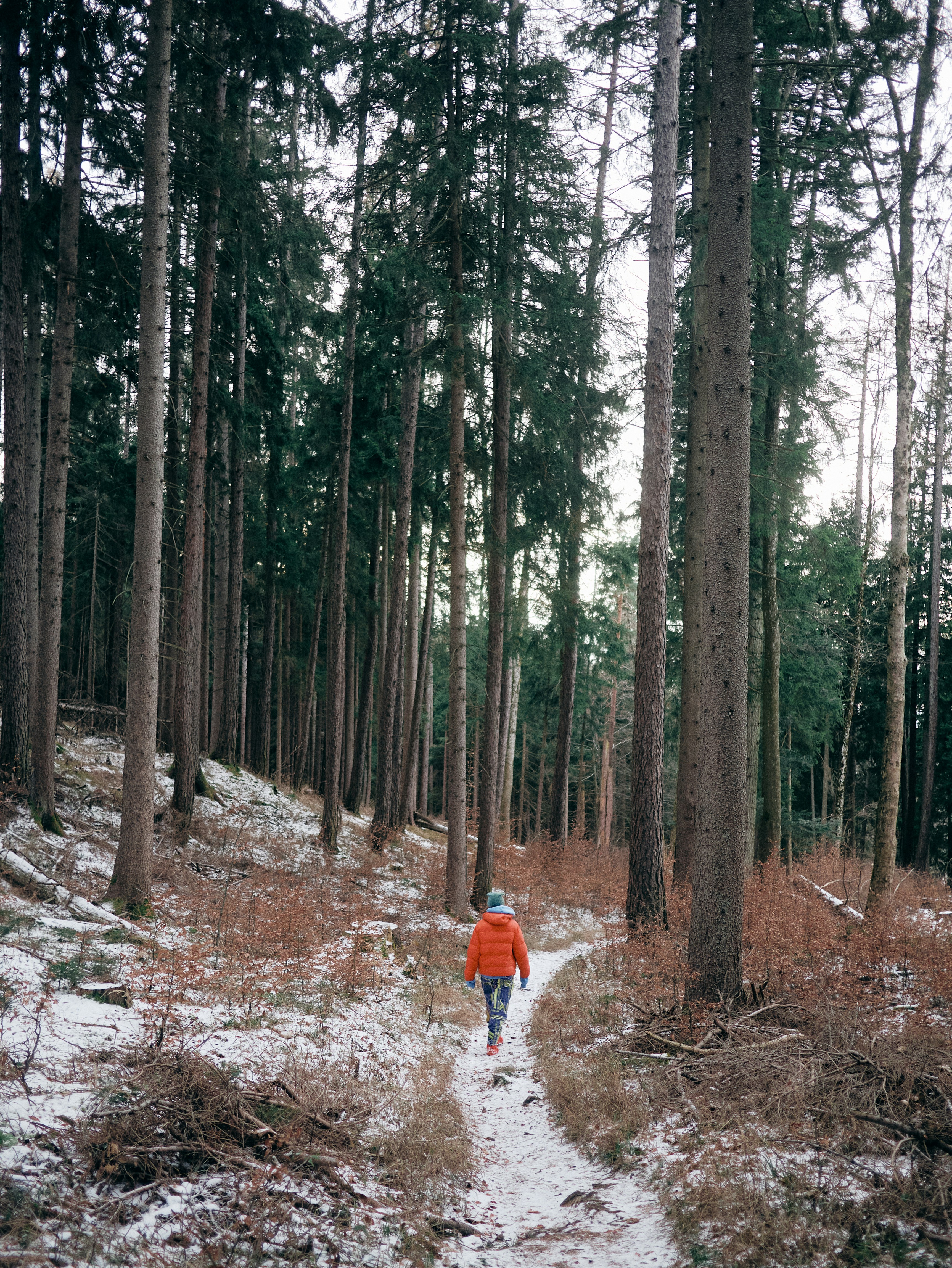 Photo by gabriel_oliver