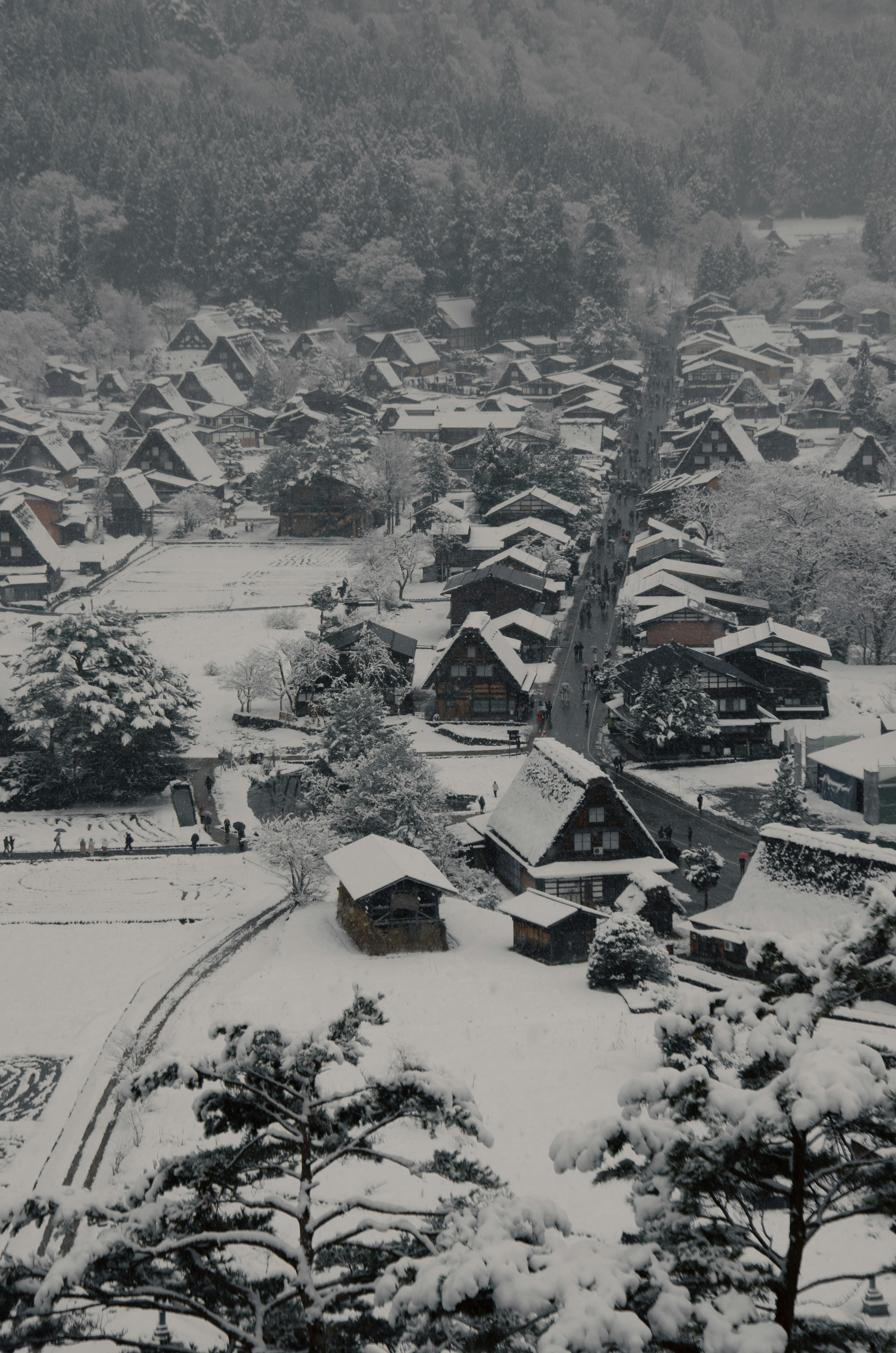 Snowy village with traditional japanese houses.