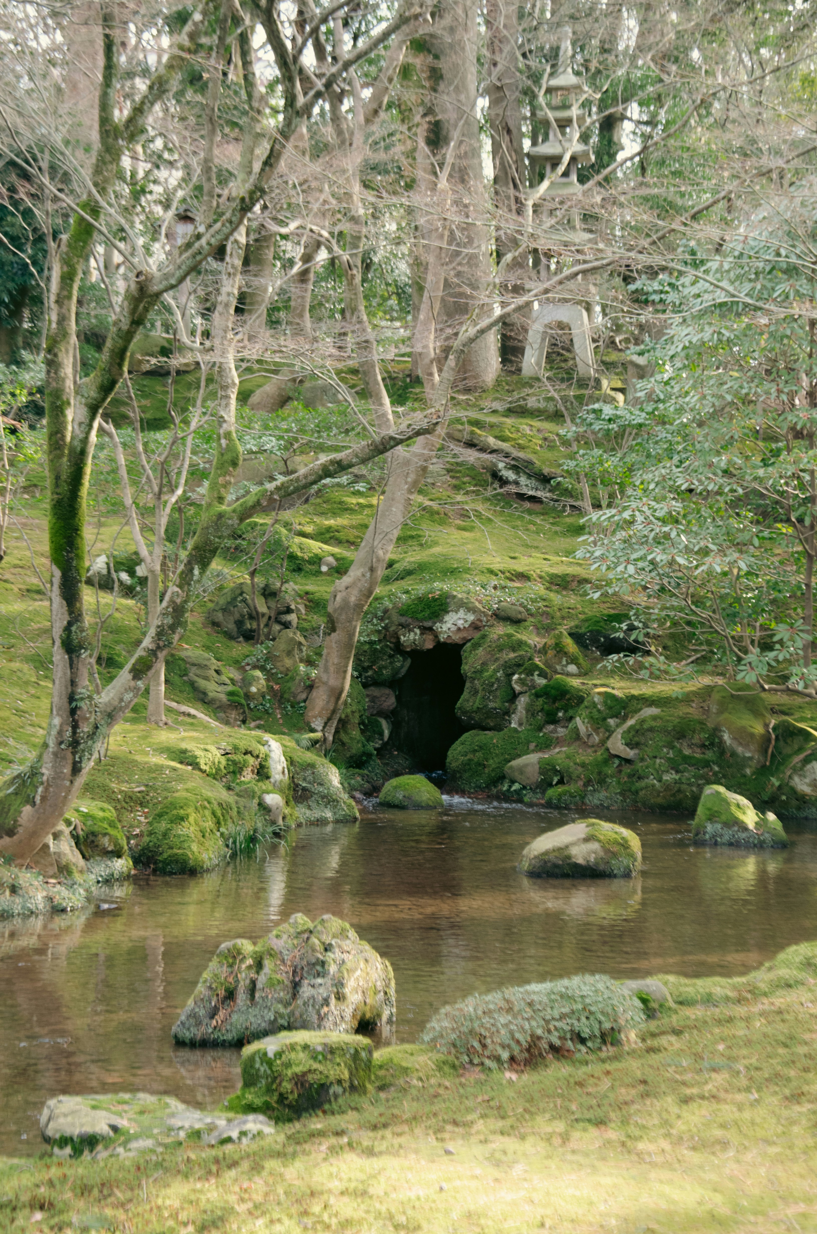 Mossy rocks surround a tranquil pond in a garden.