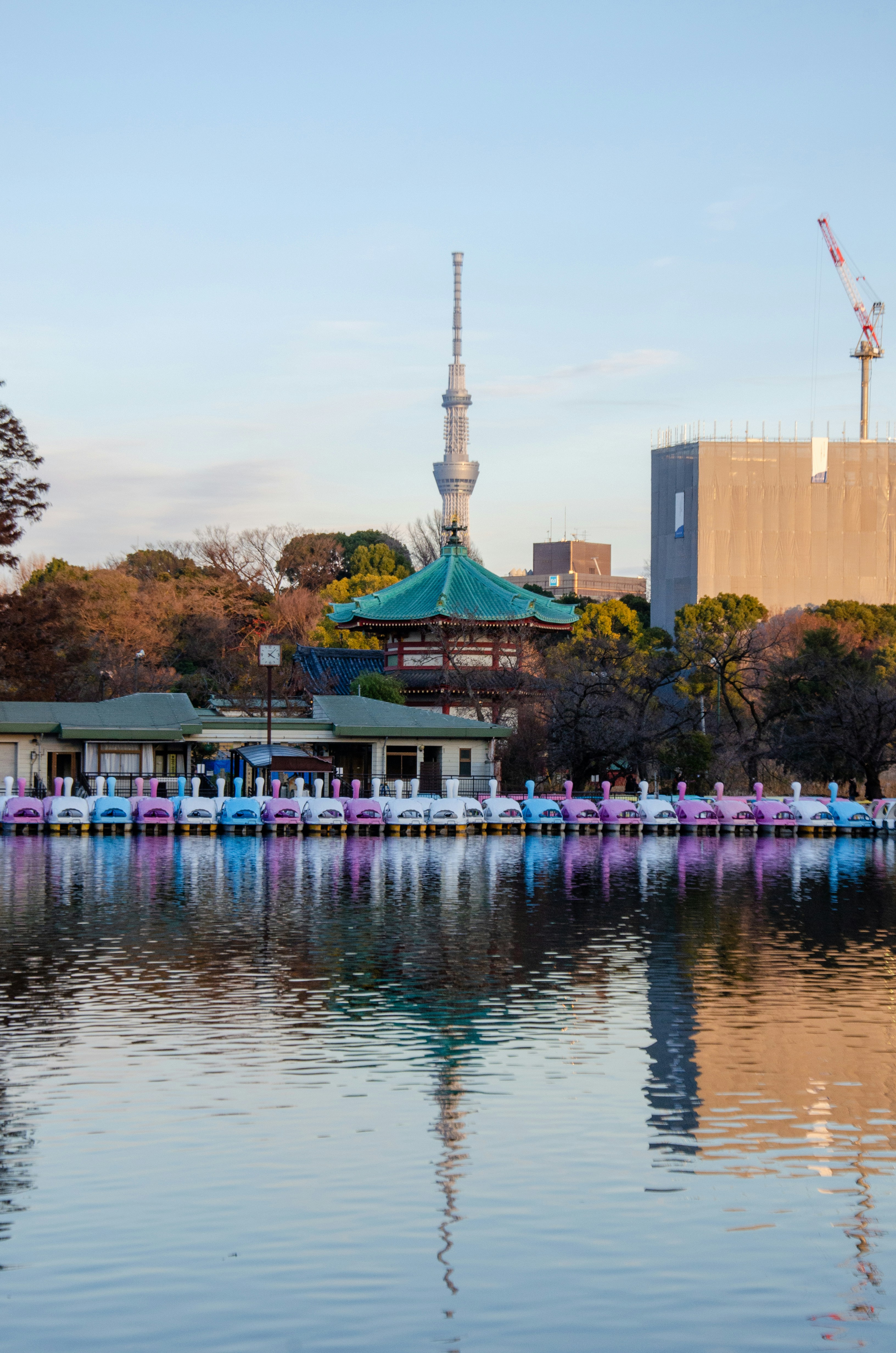 Paddle boats line a tranquil lake with pagoda and tower.