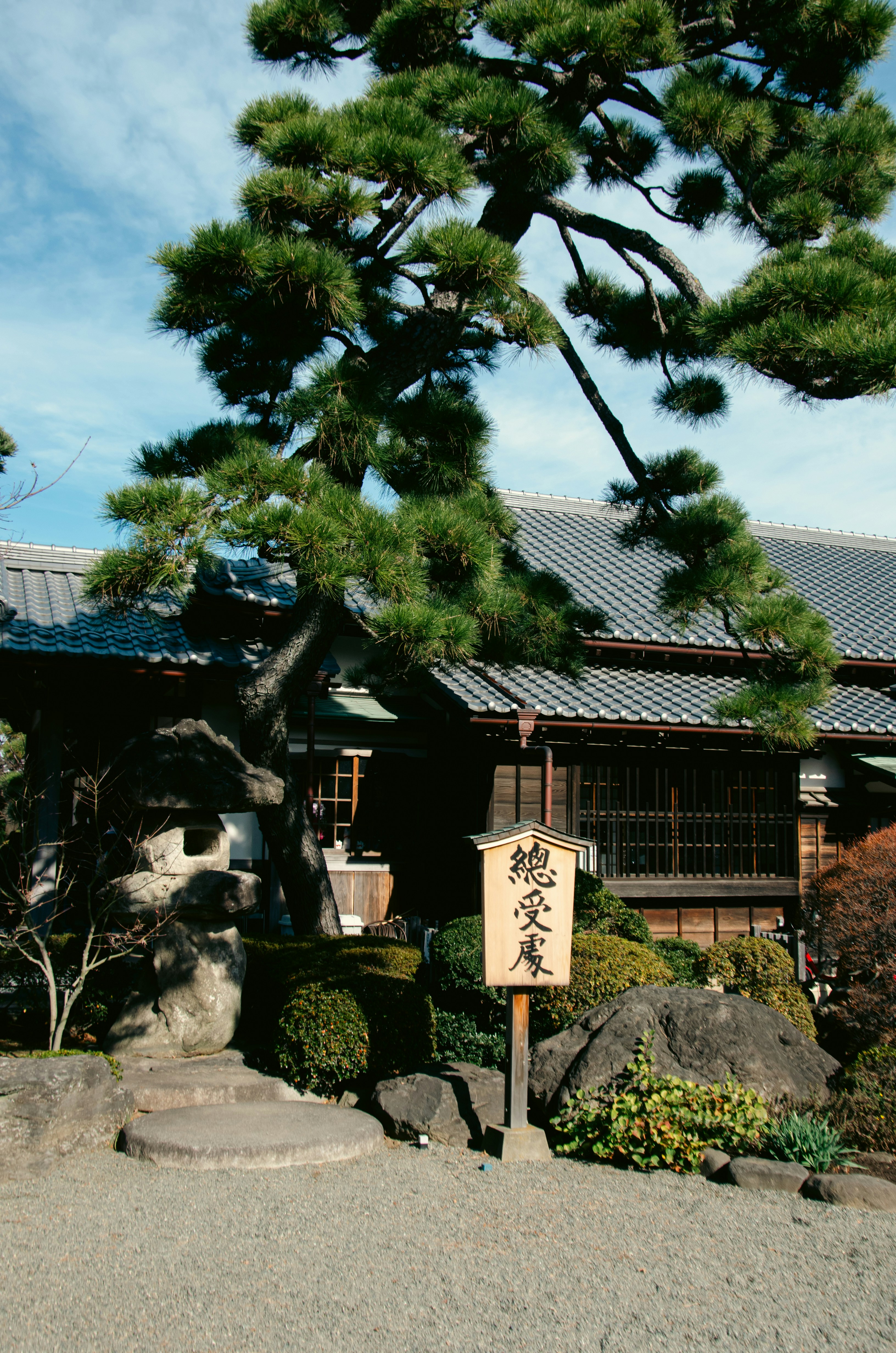 Traditional japanese house with a large pine tree.