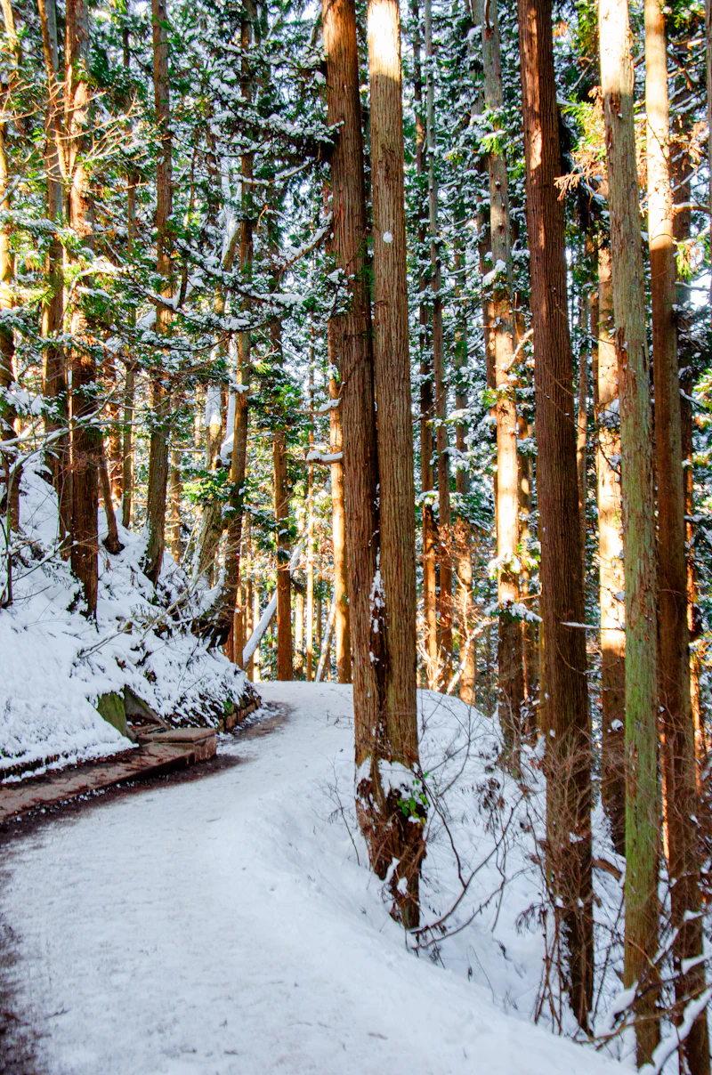 Traditional Japanese temple