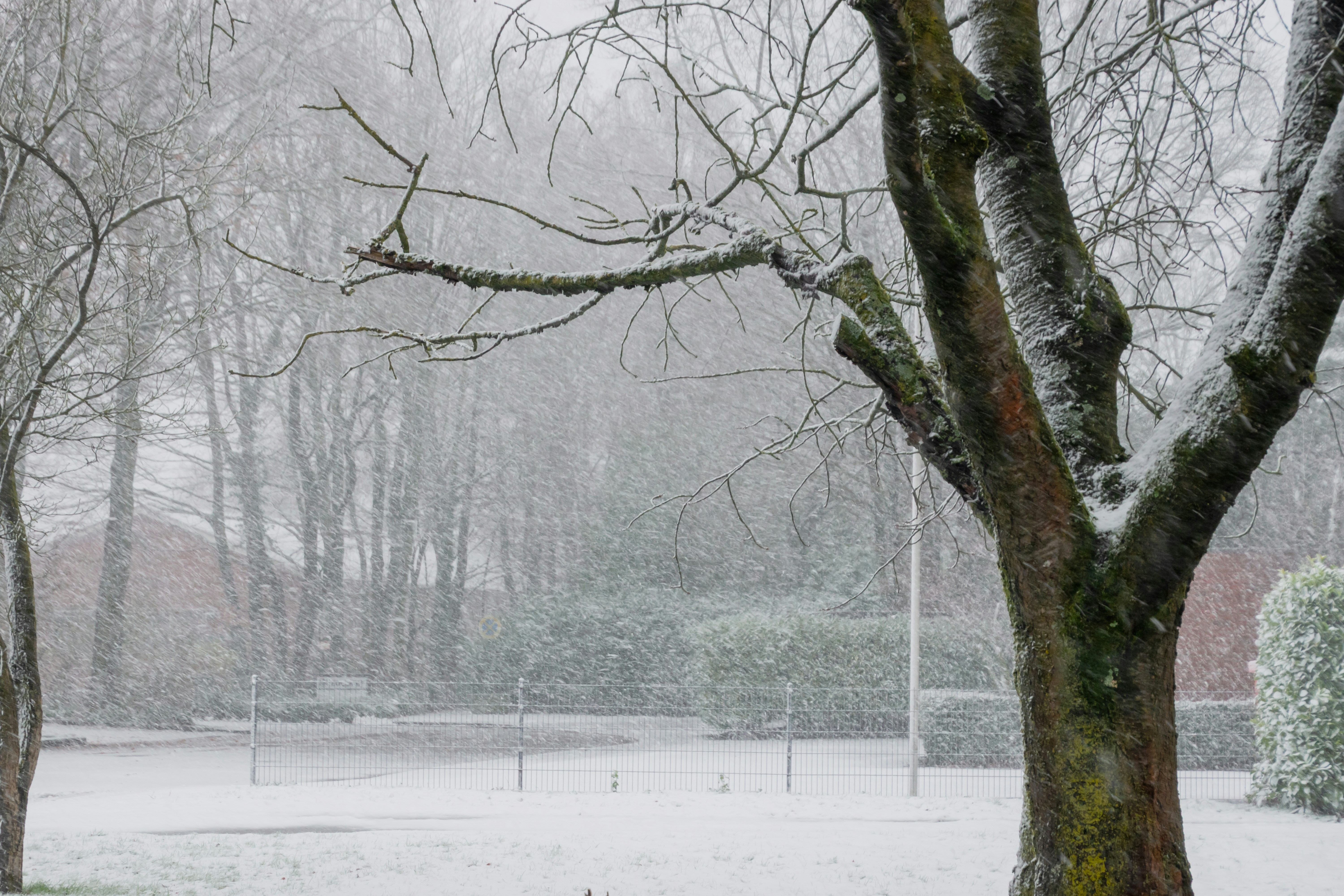 Hinchas abrigados alentando durante un partido en clima frío