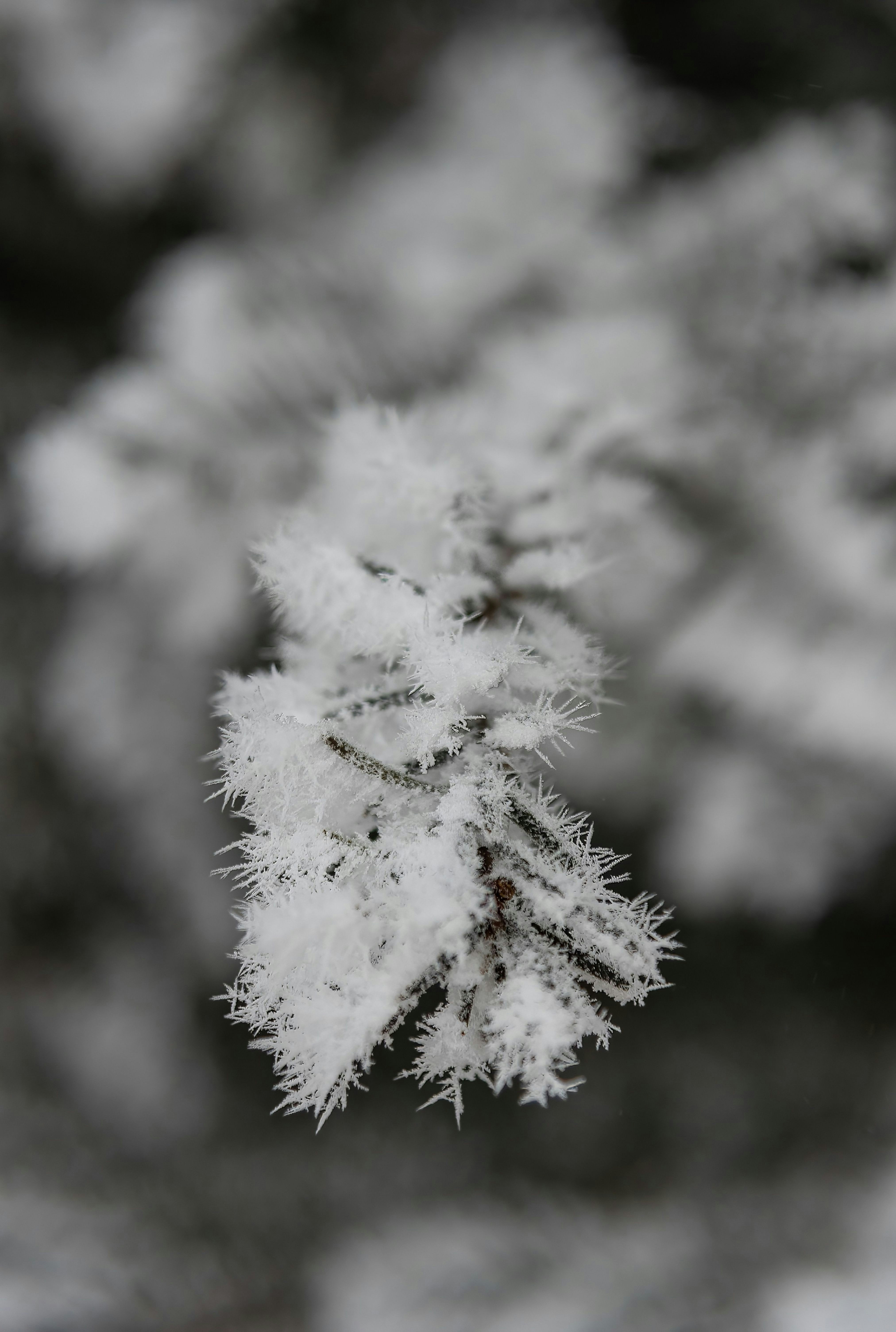 Photo by millionsofpixelsbydragos