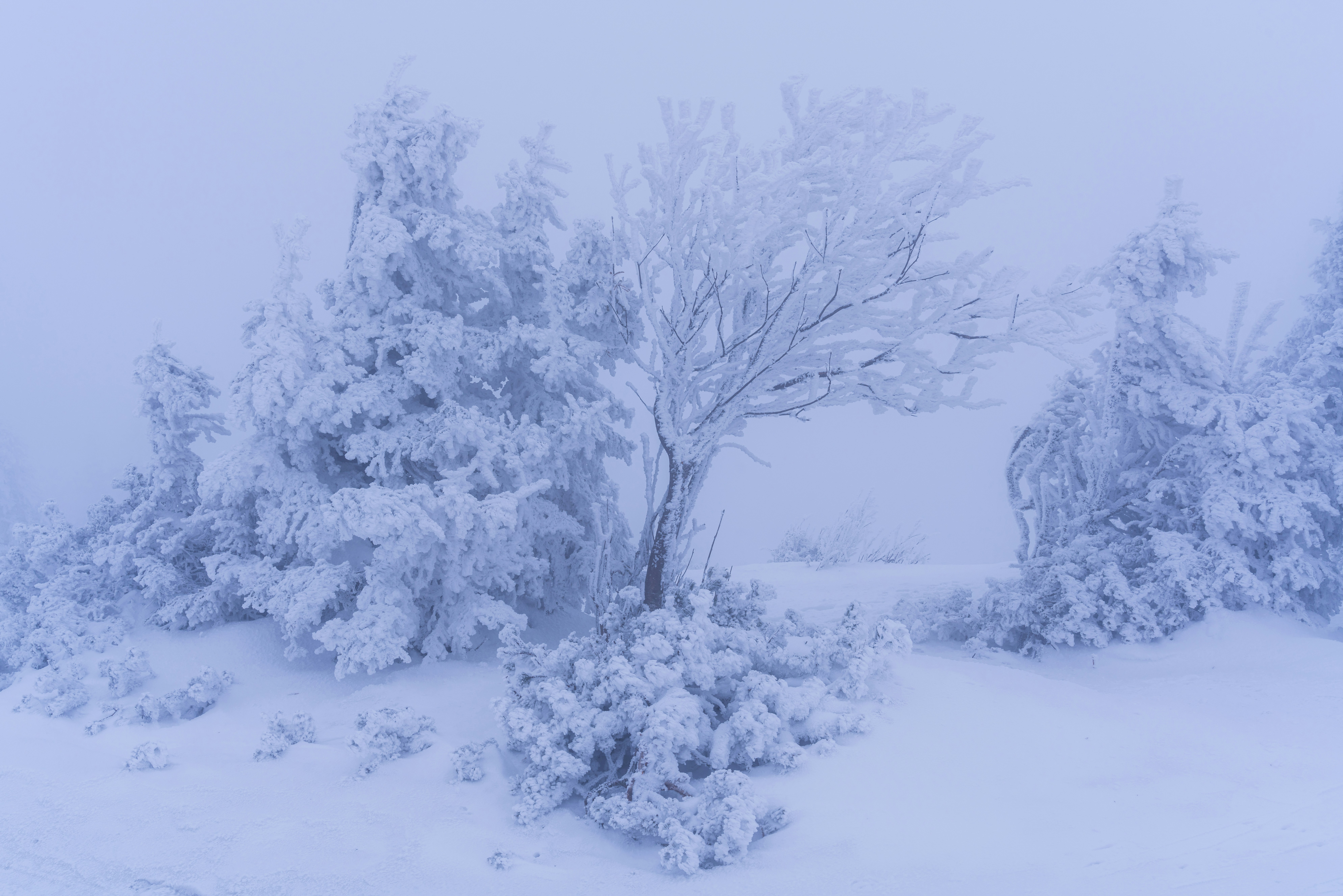 Photo by aydinhassan