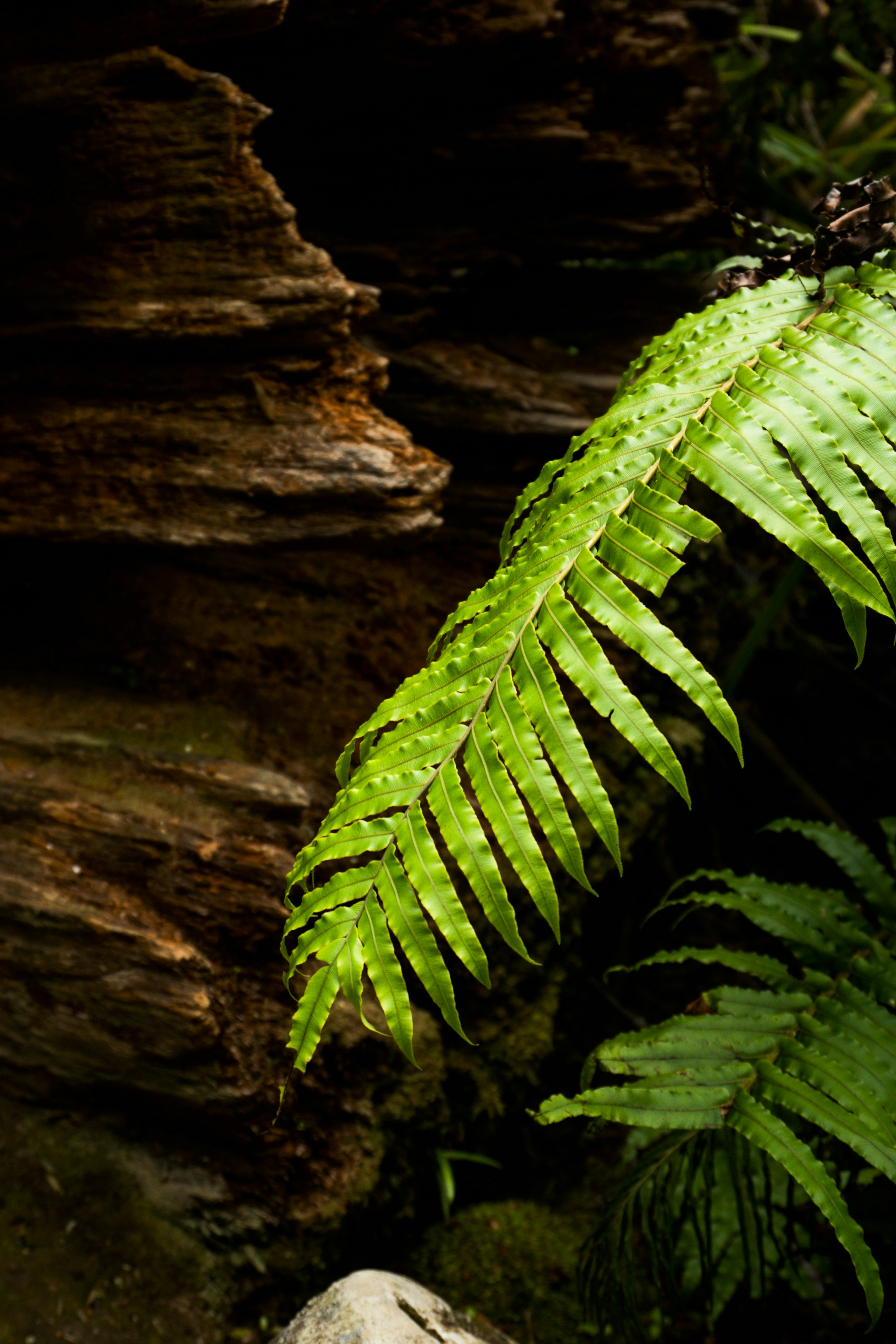 Photo by countingframez