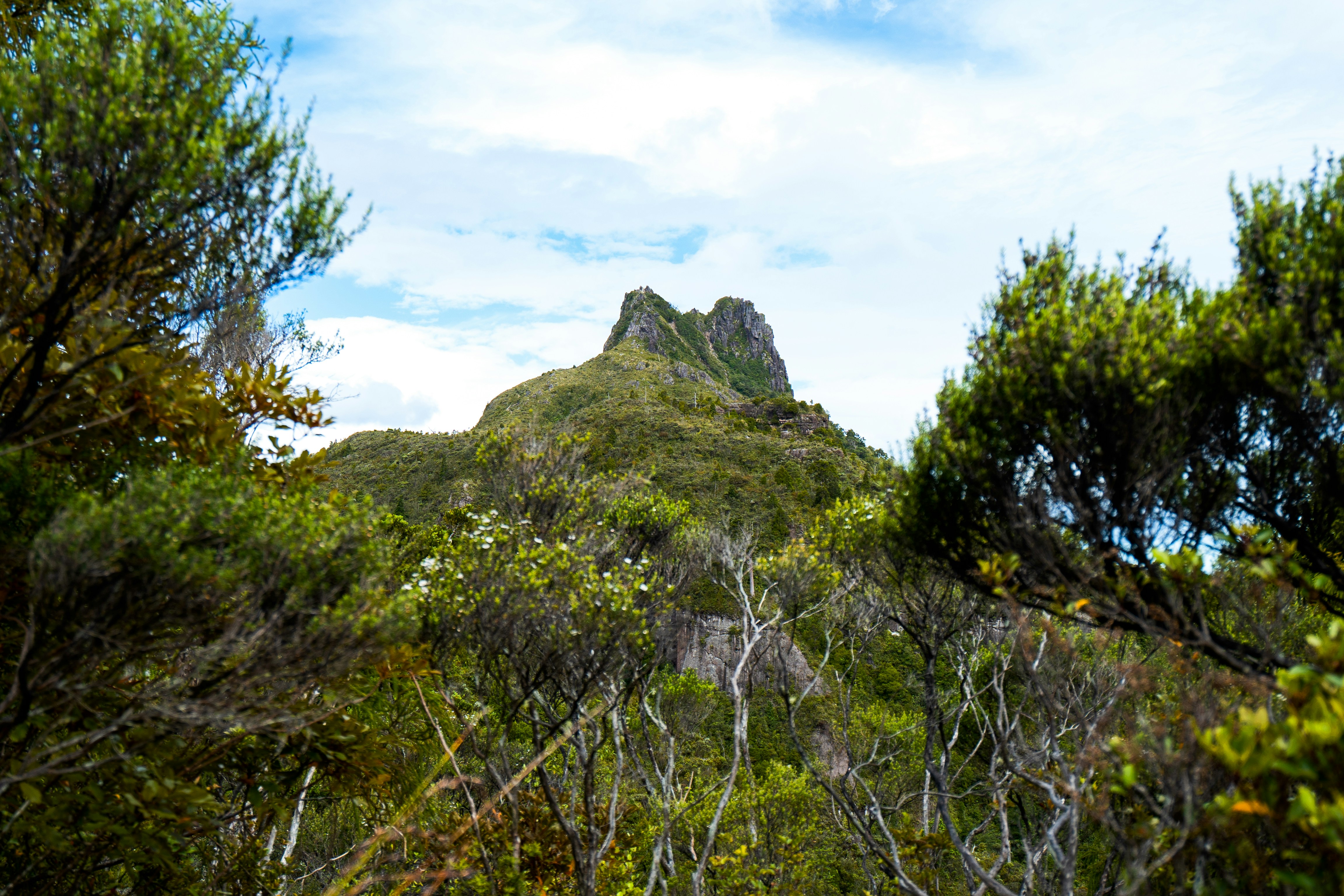 Photo by countingframez