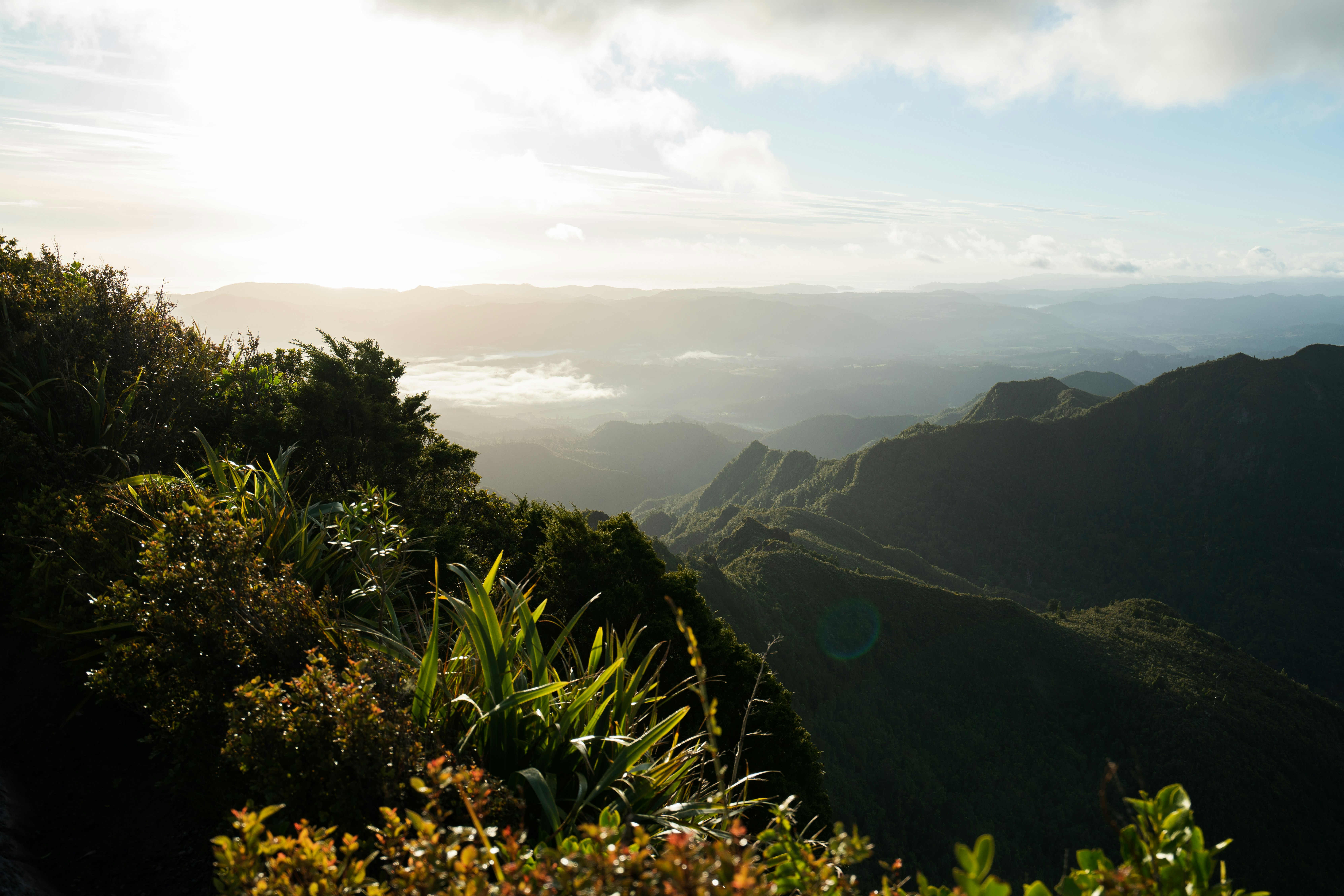 Photo by countingframez