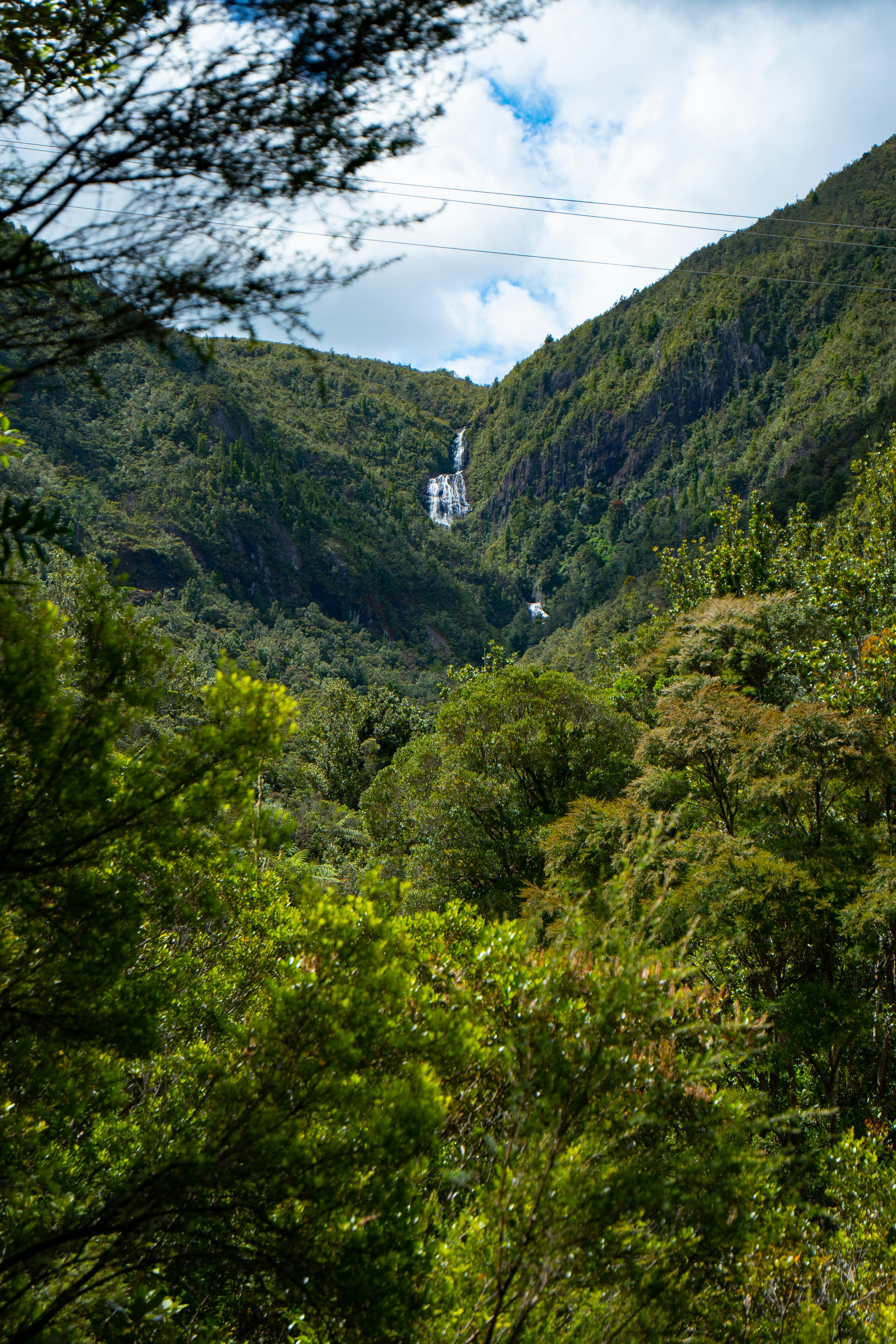 Photo by countingframez