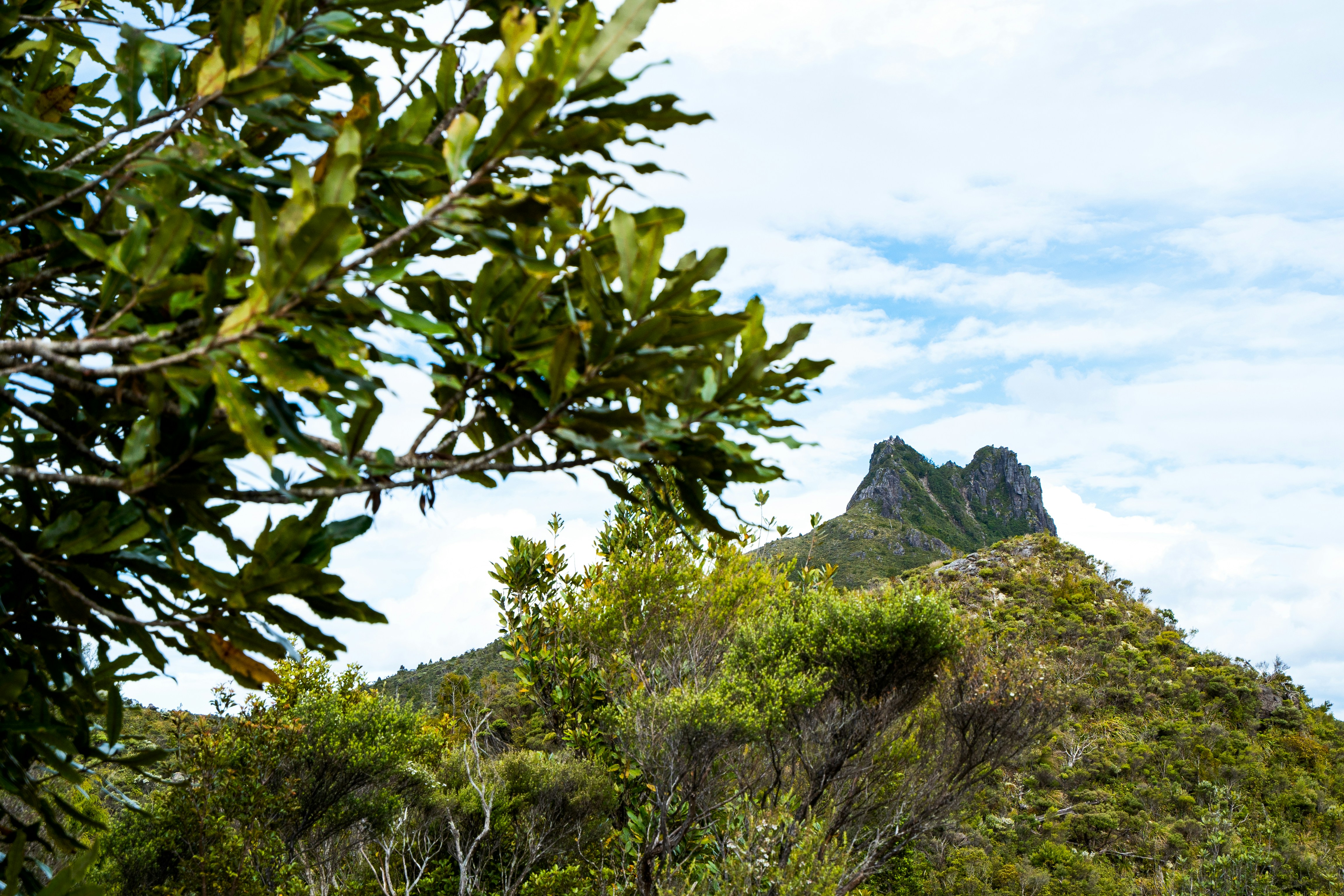 Photo by countingframez