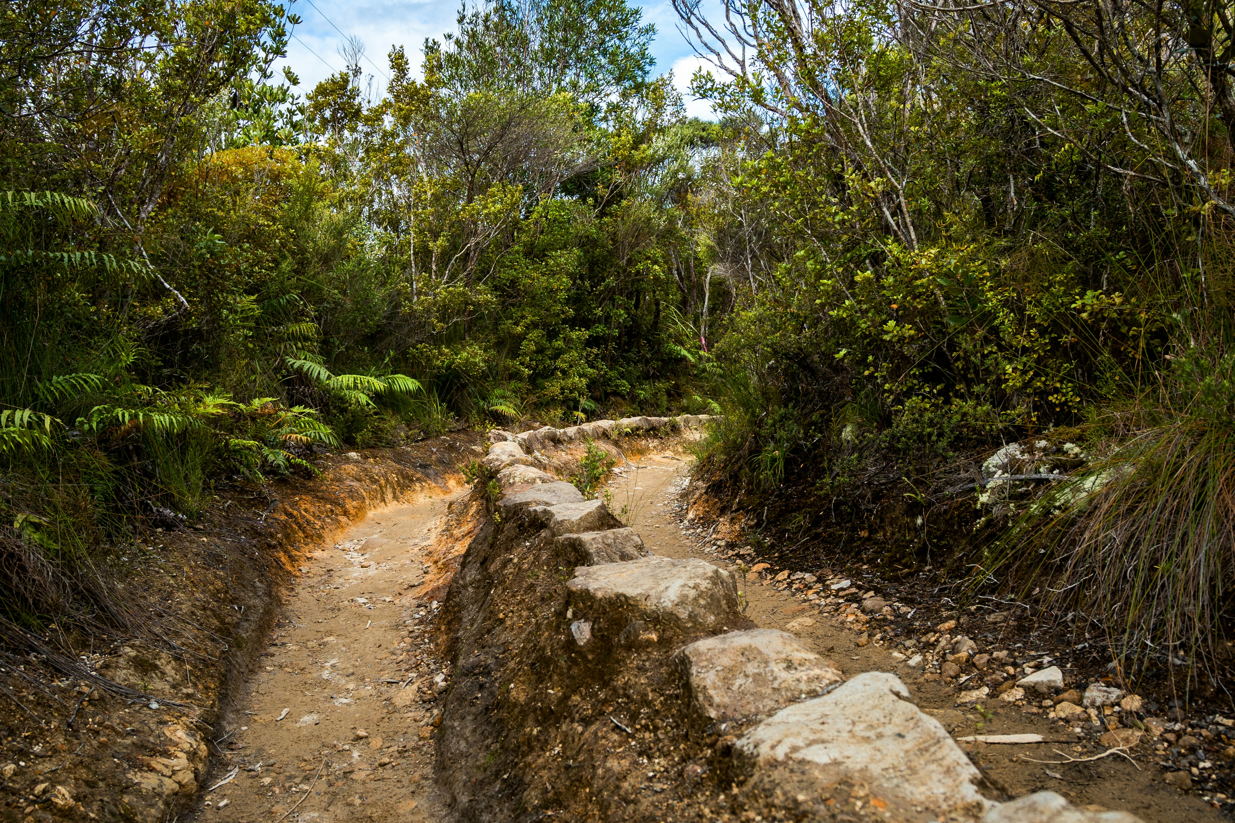WB&A Trail