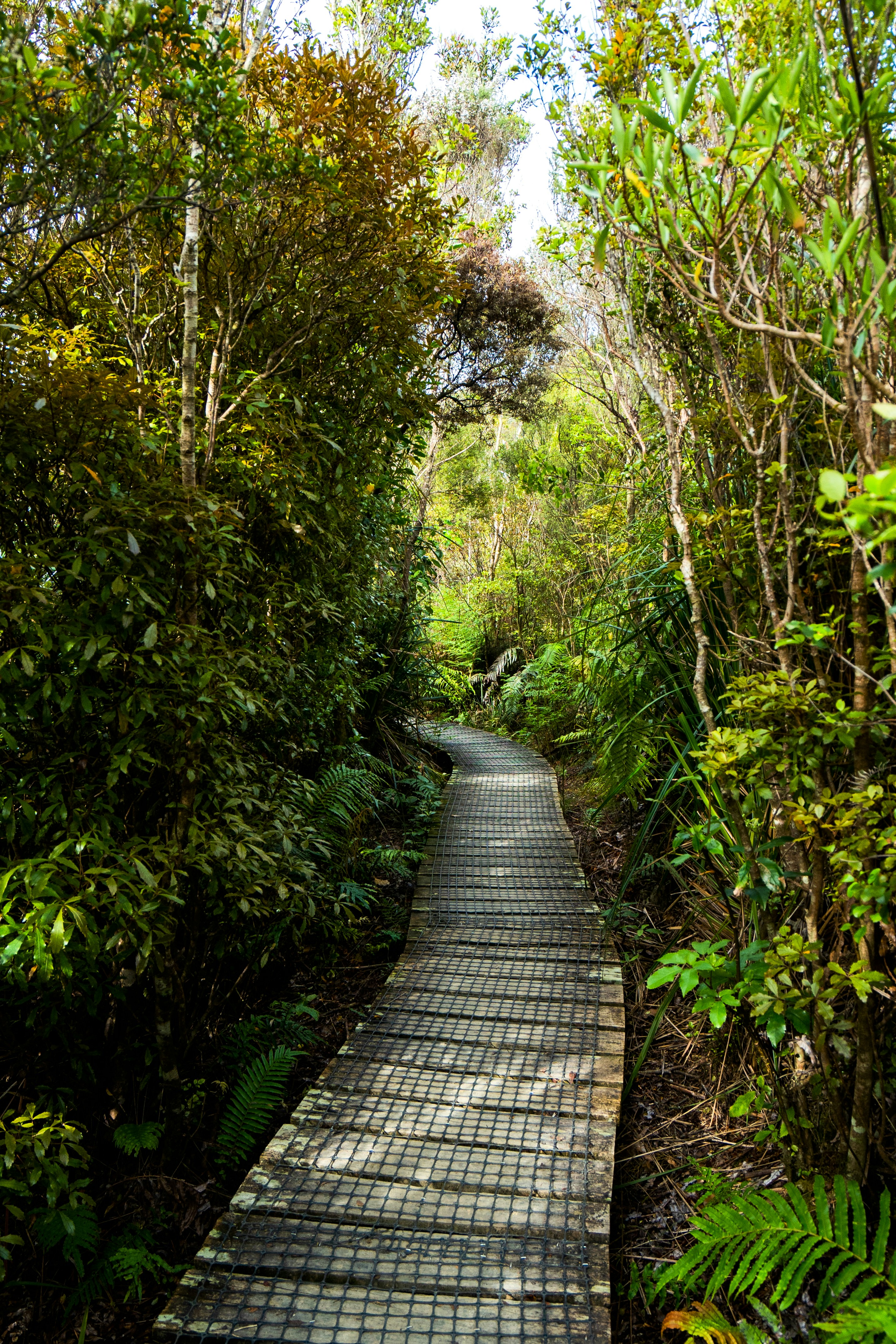 Photo by countingframez