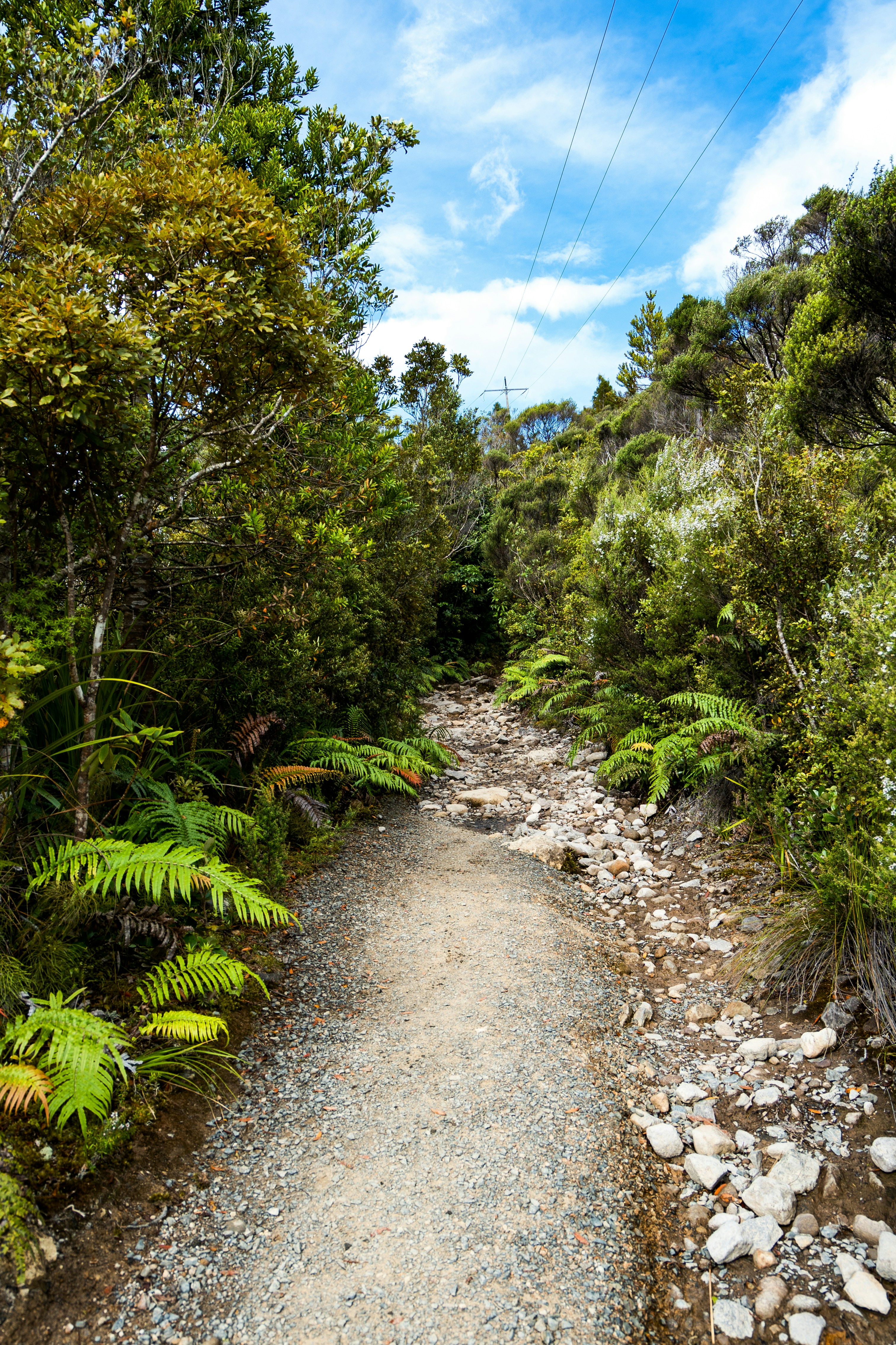 Photo by countingframez