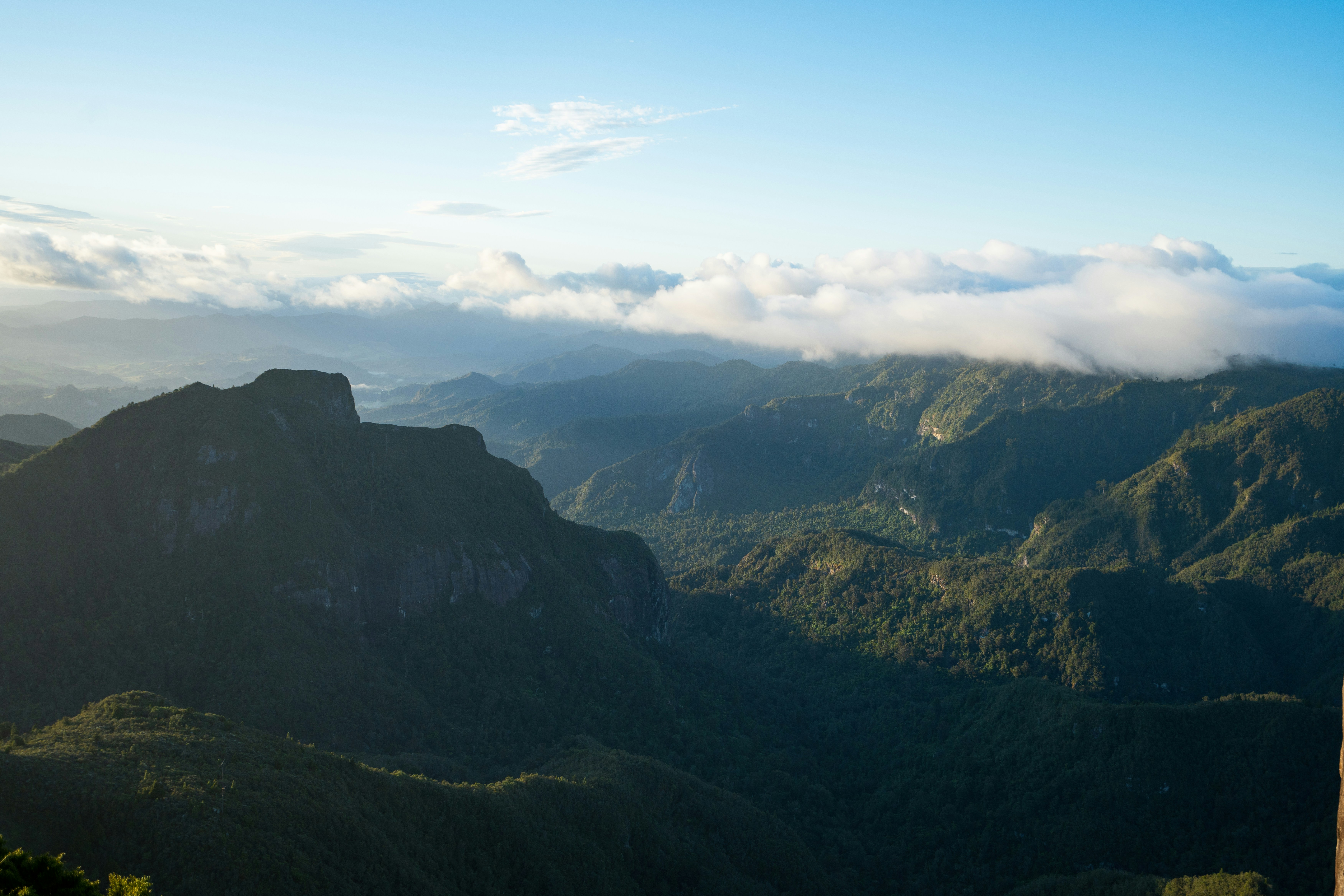 Photo by countingframez