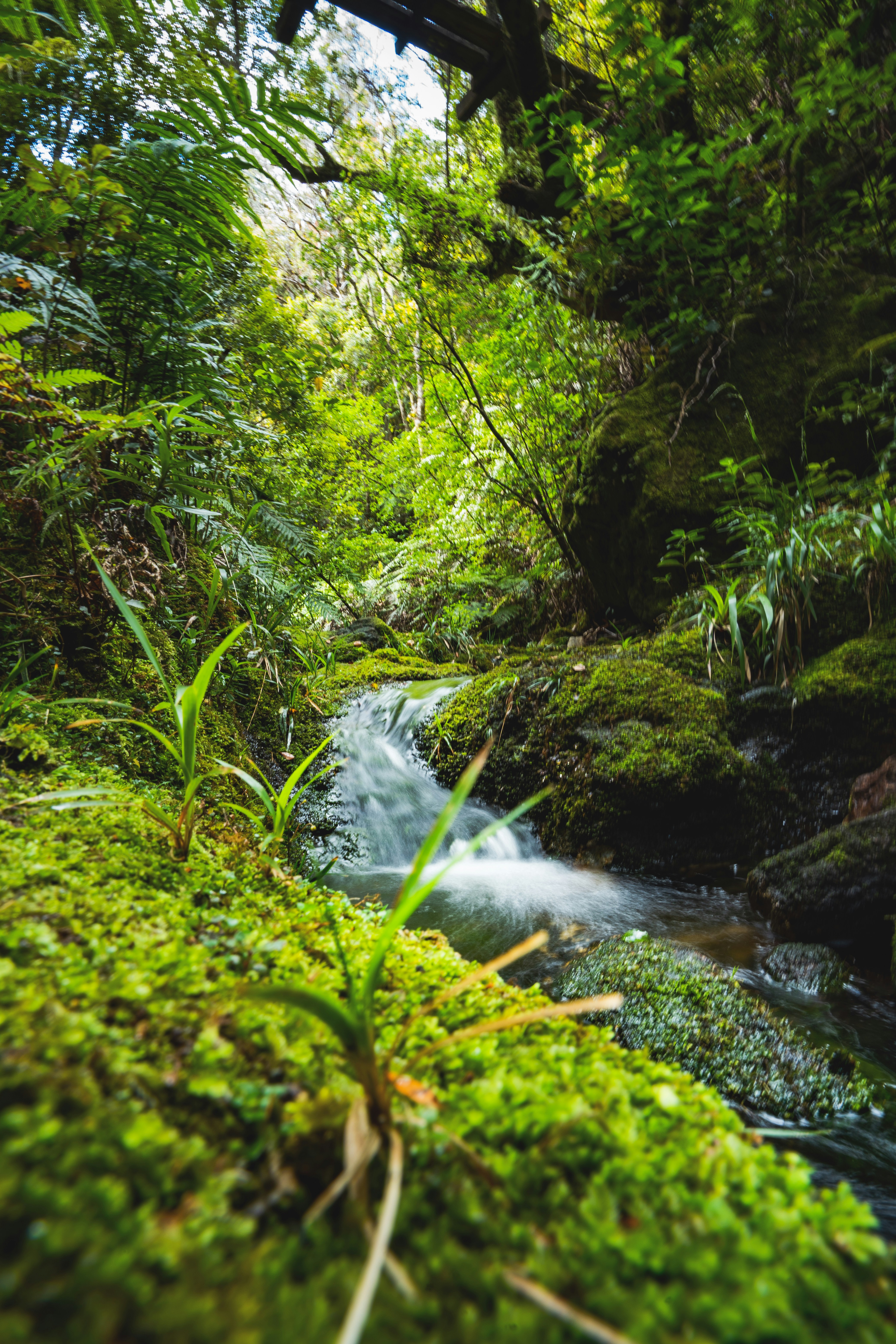 Photo by countingframez