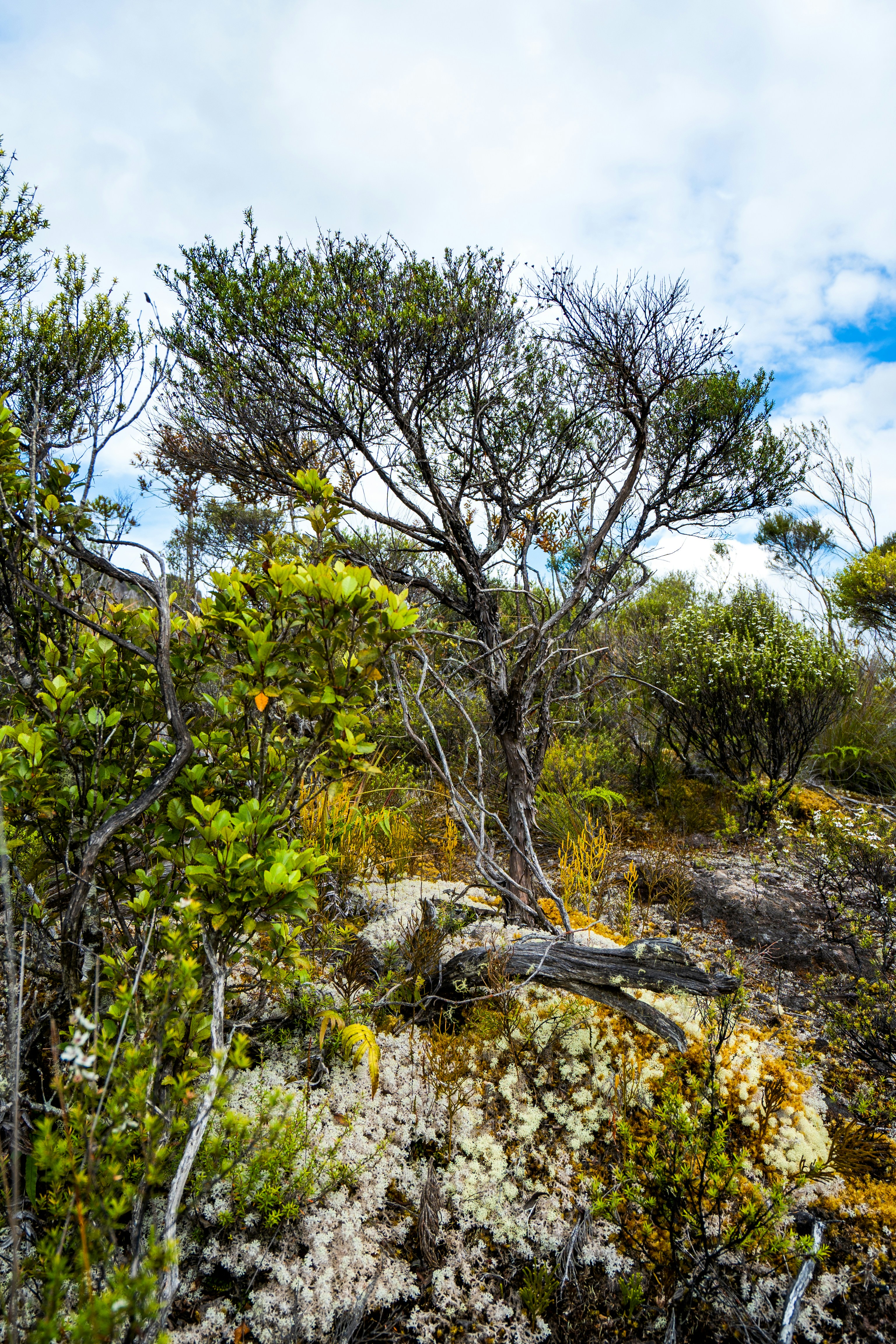 Photo by countingframez