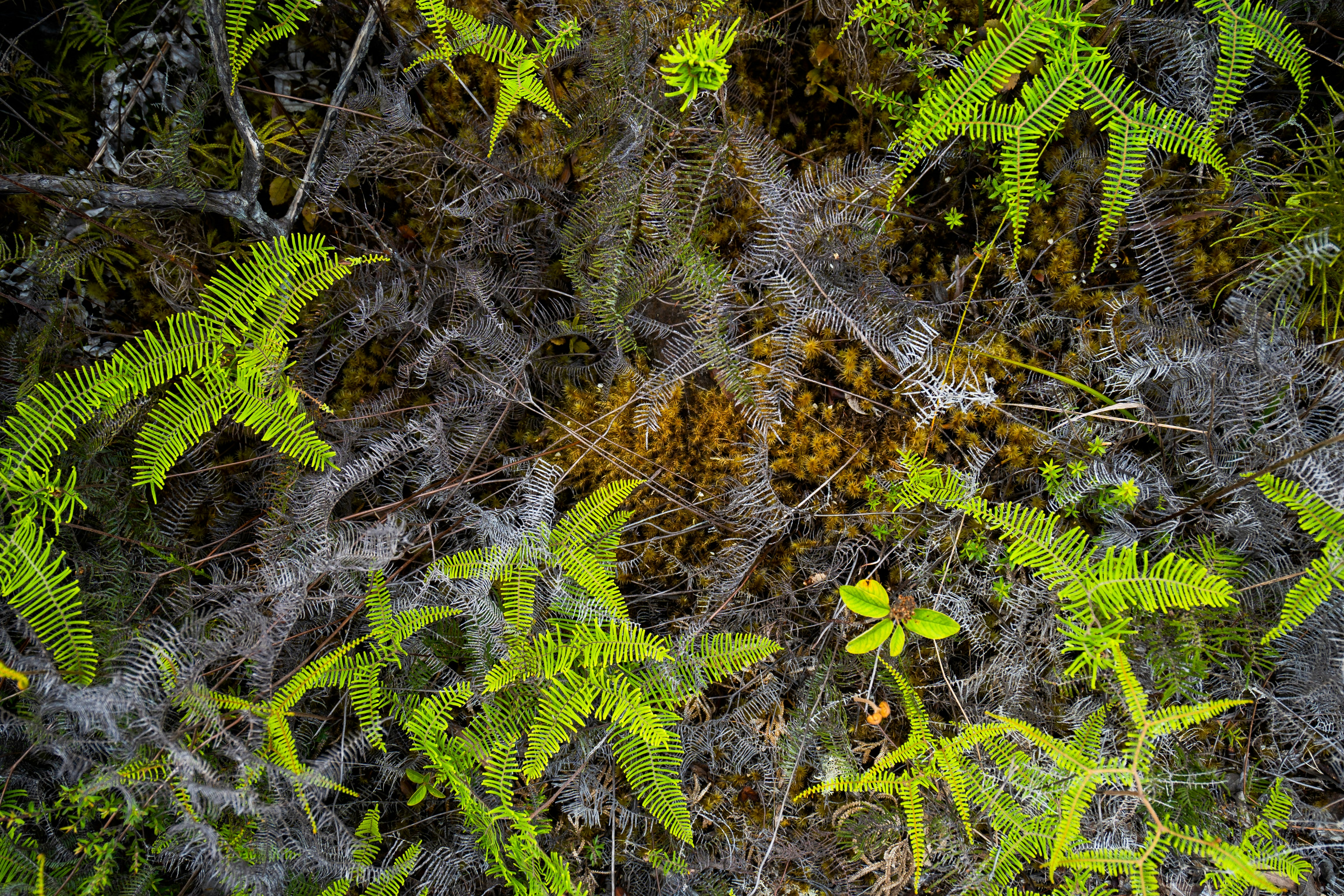 Photo by countingframez