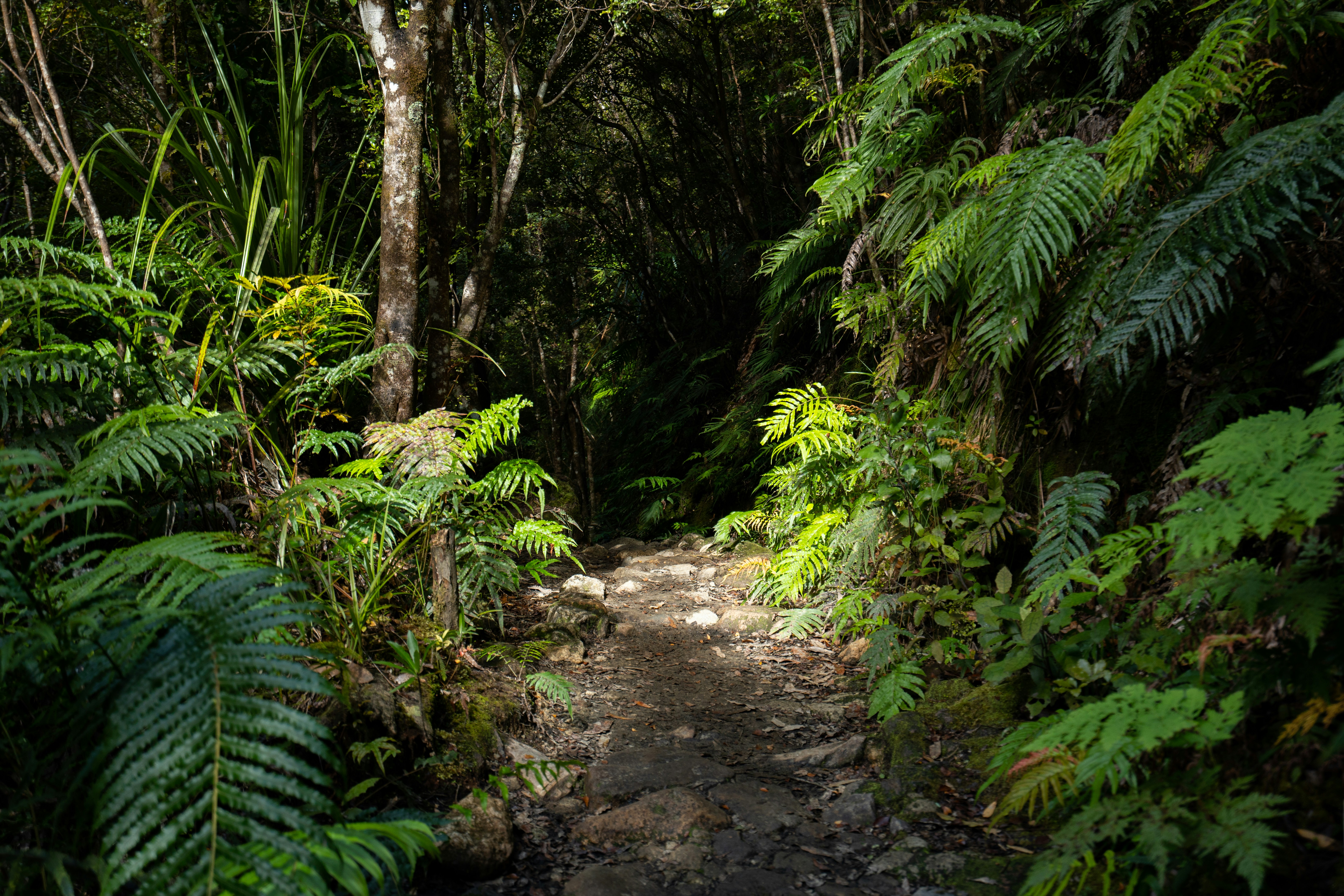 Photo by countingframez