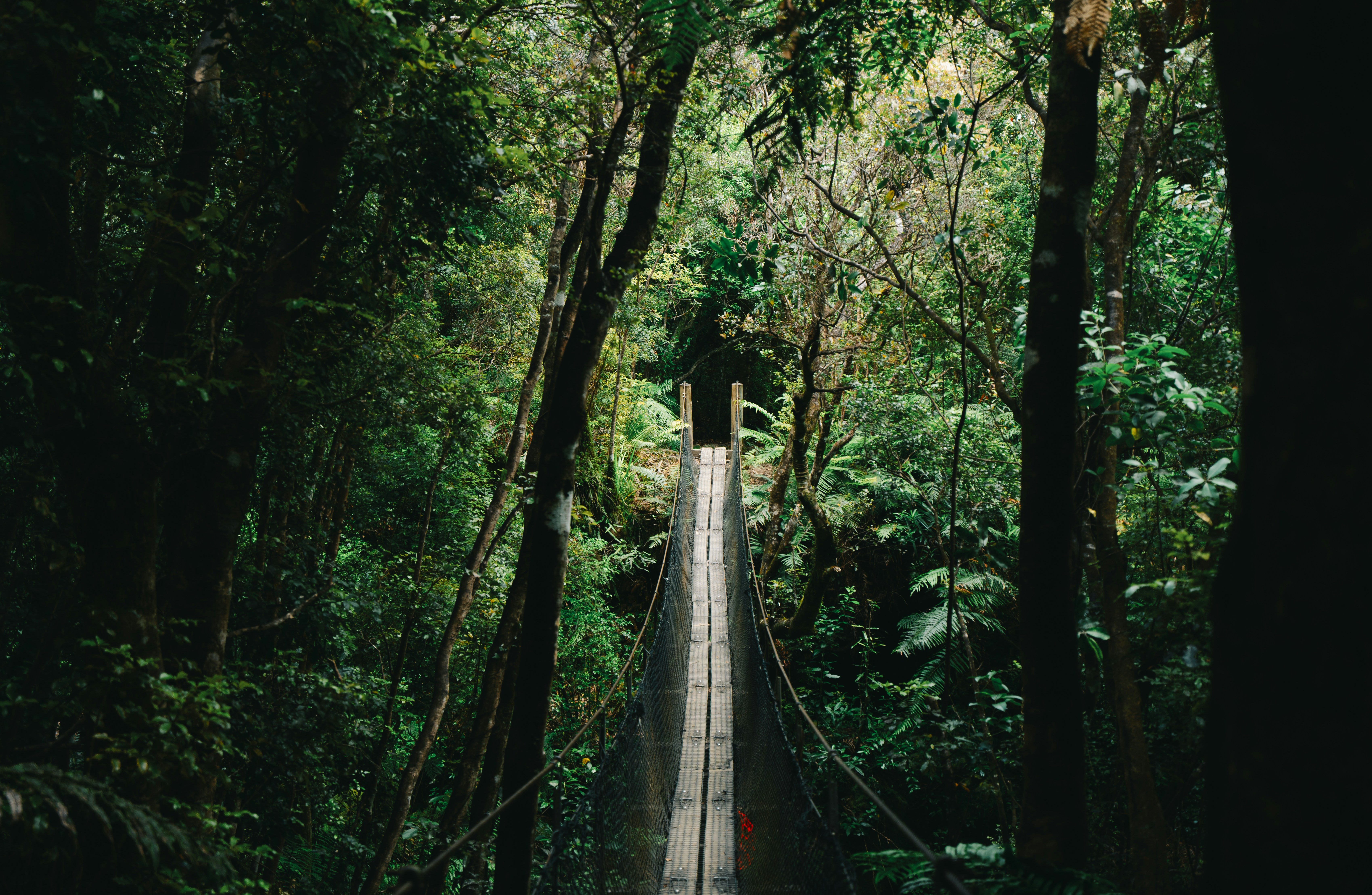 Photo by countingframez