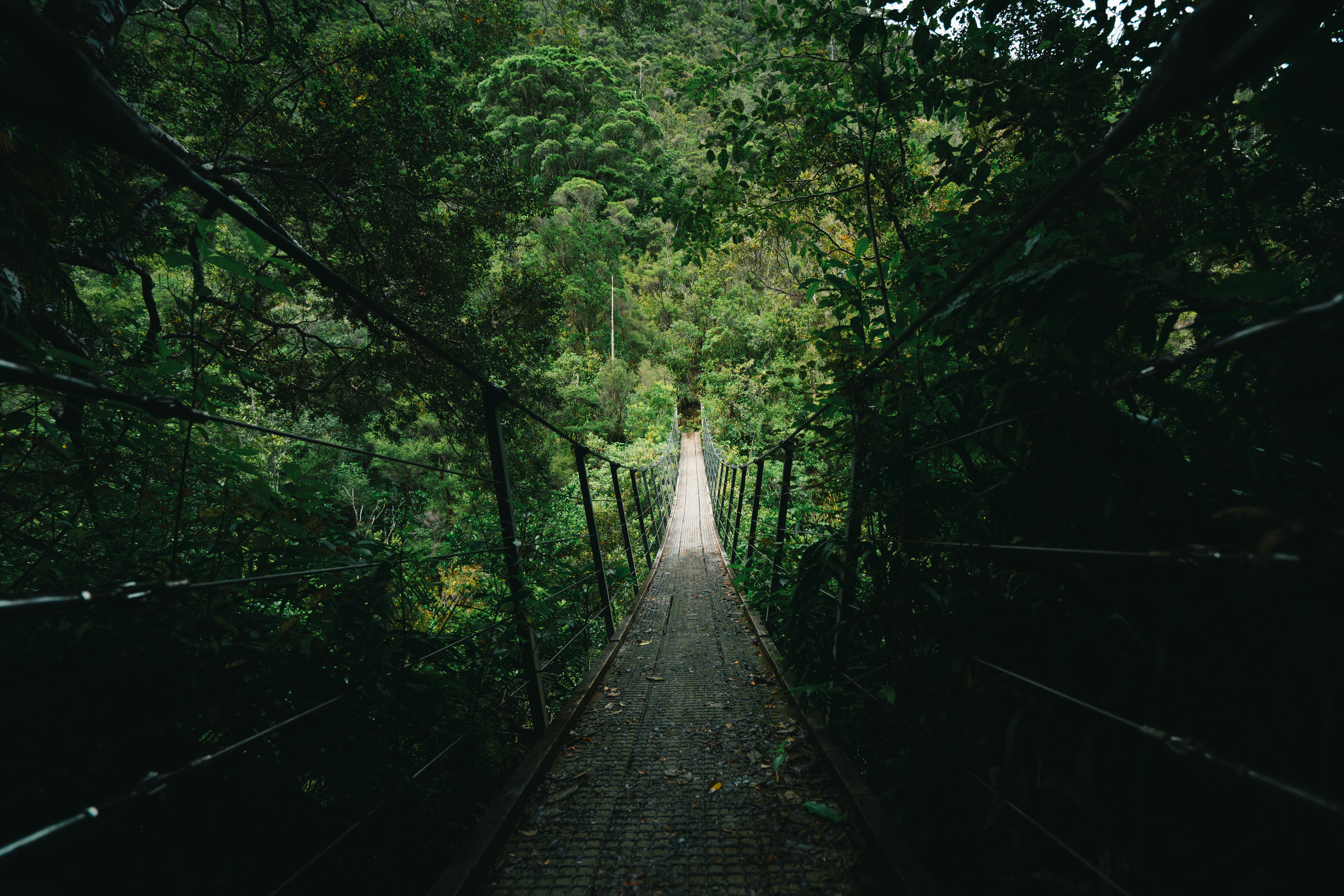 Photo by countingframez