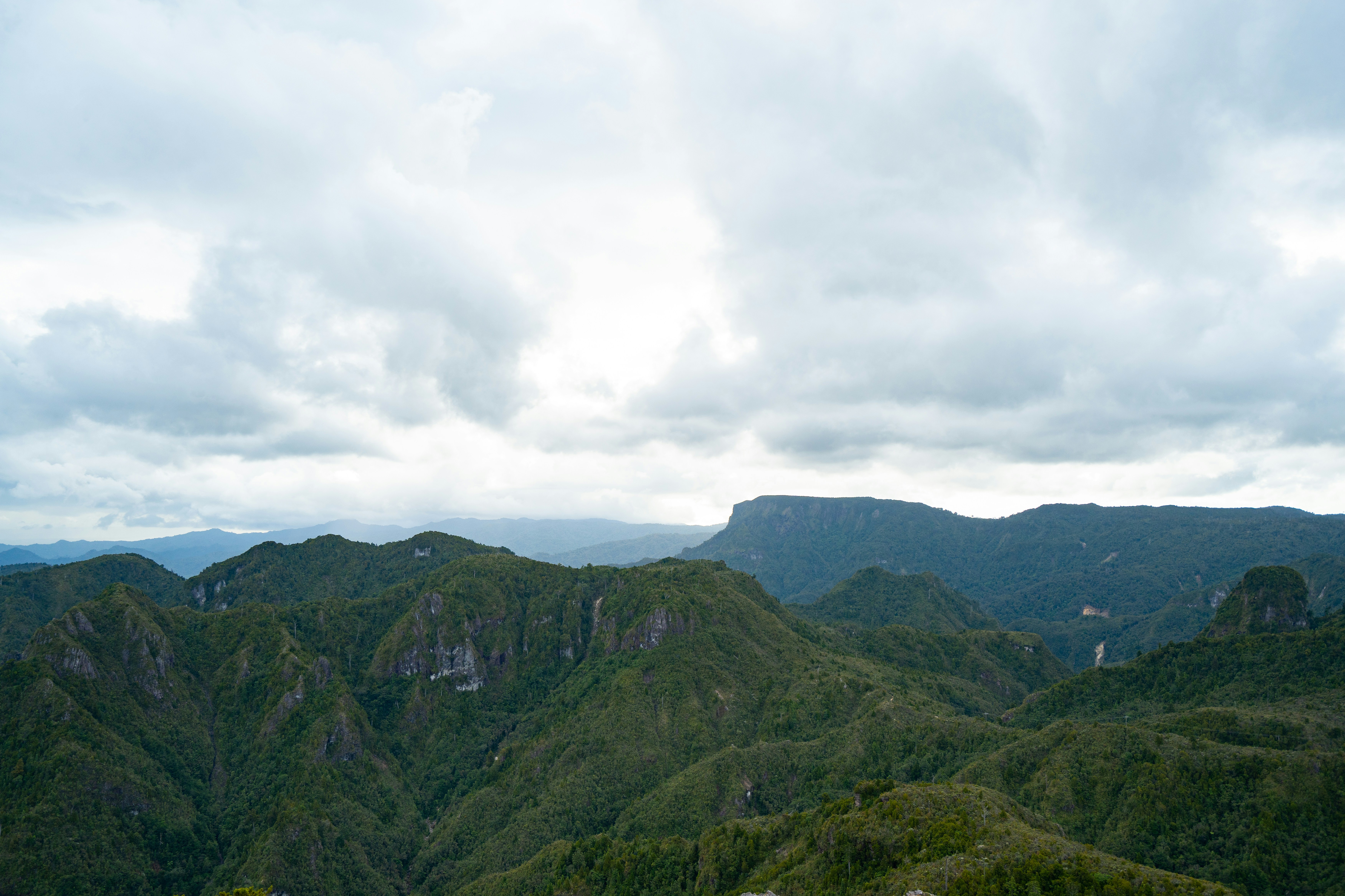 Photo by countingframez