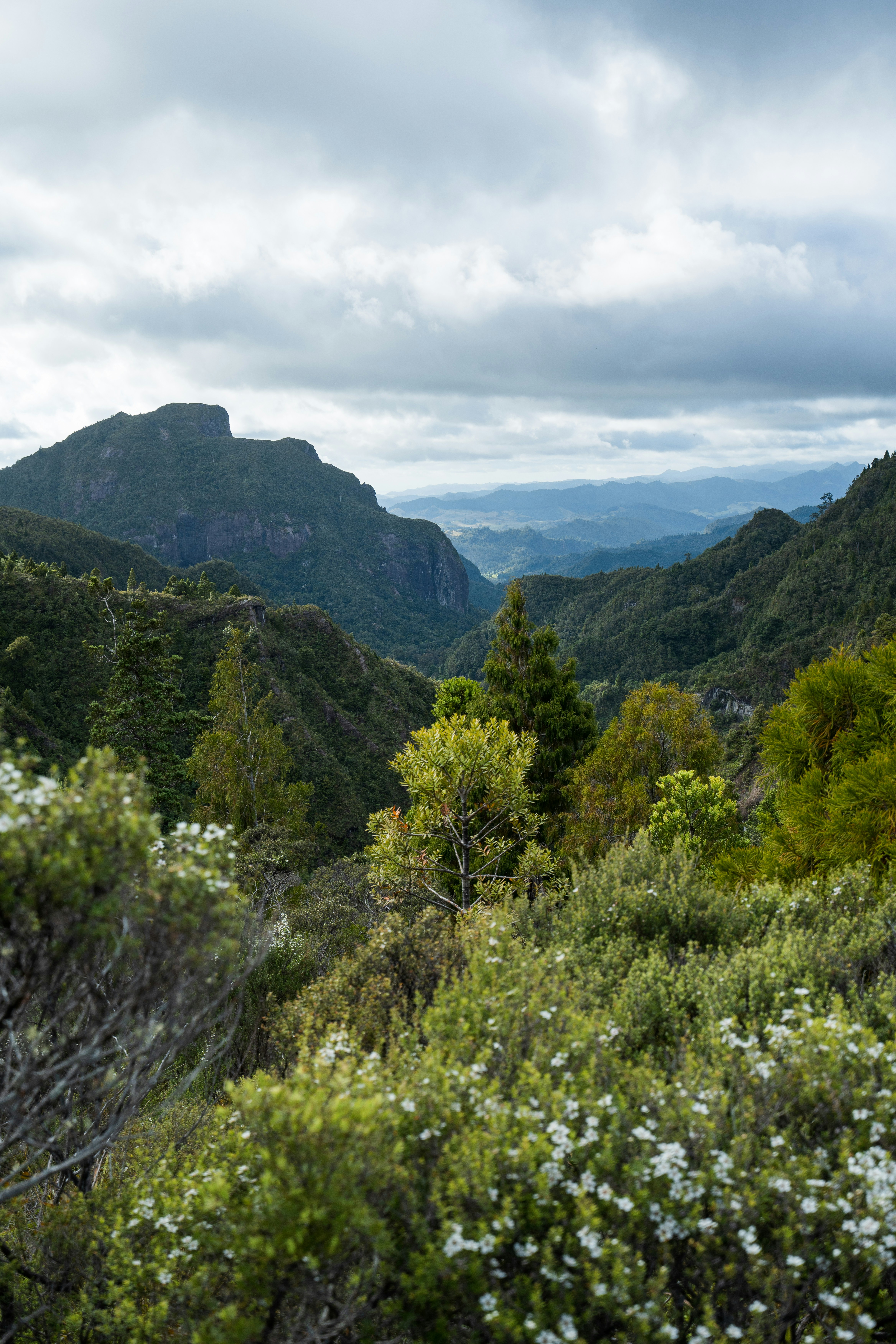 Photo by countingframez