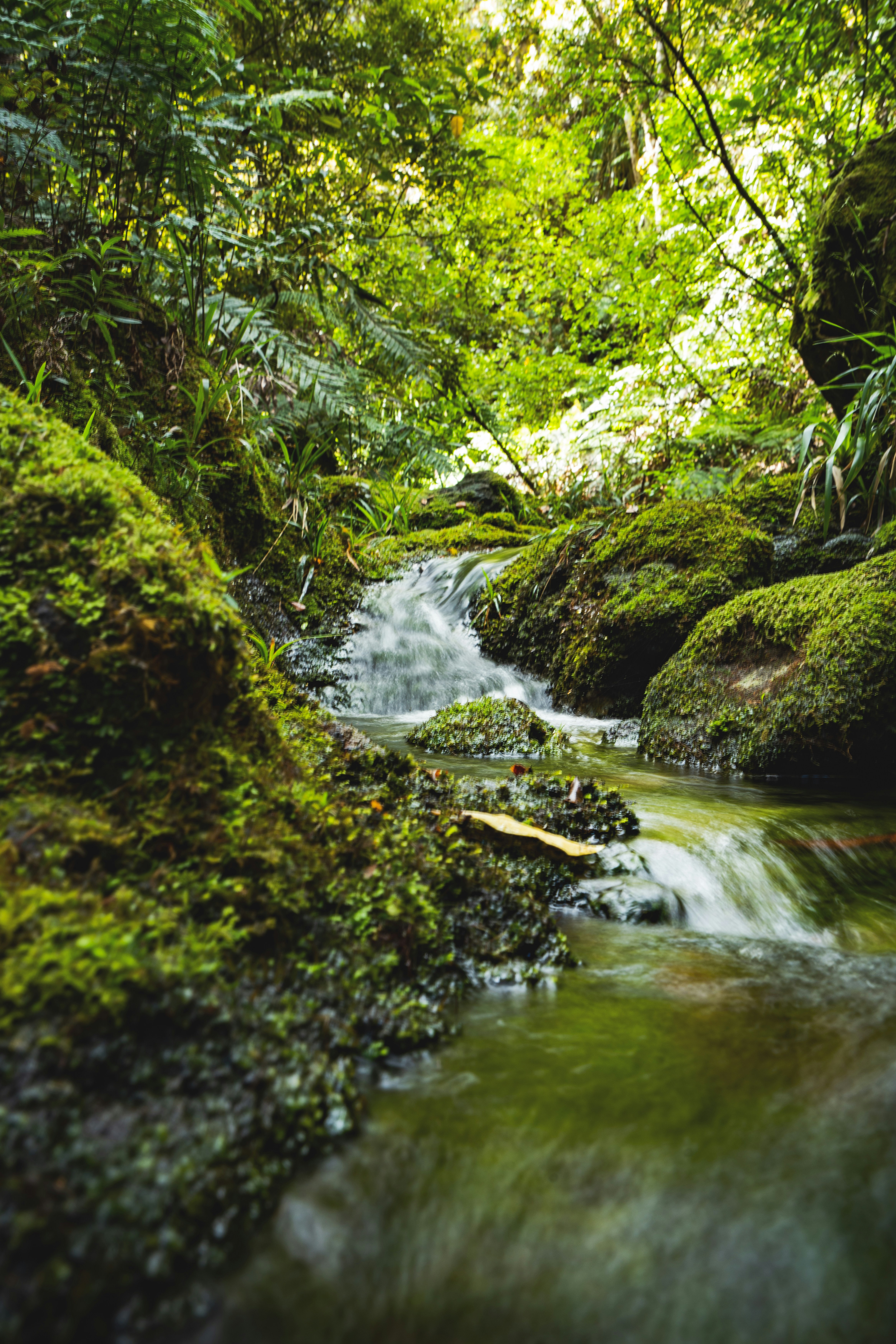 Photo by countingframez