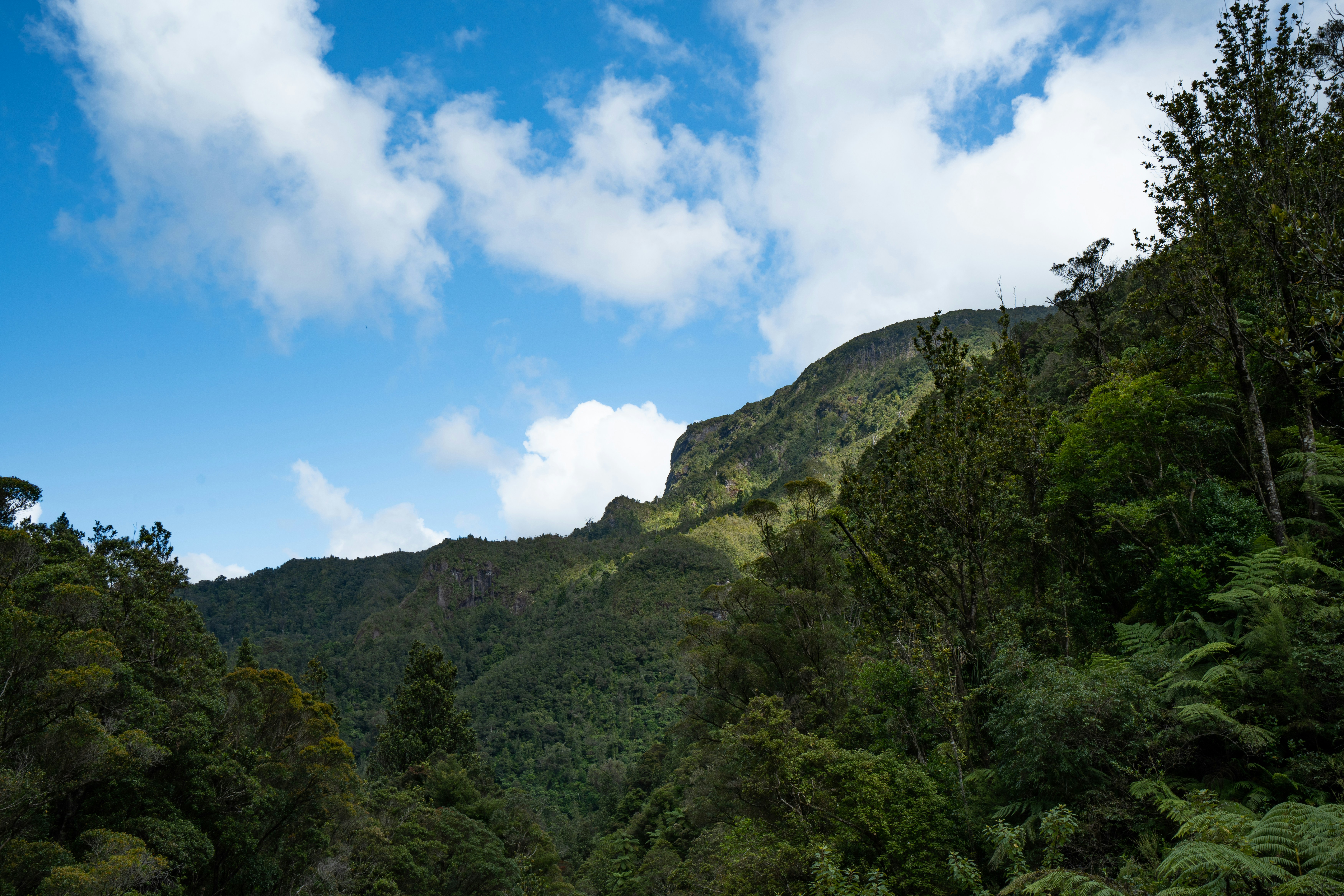 Lush green mountains under a cloudy blue sky.