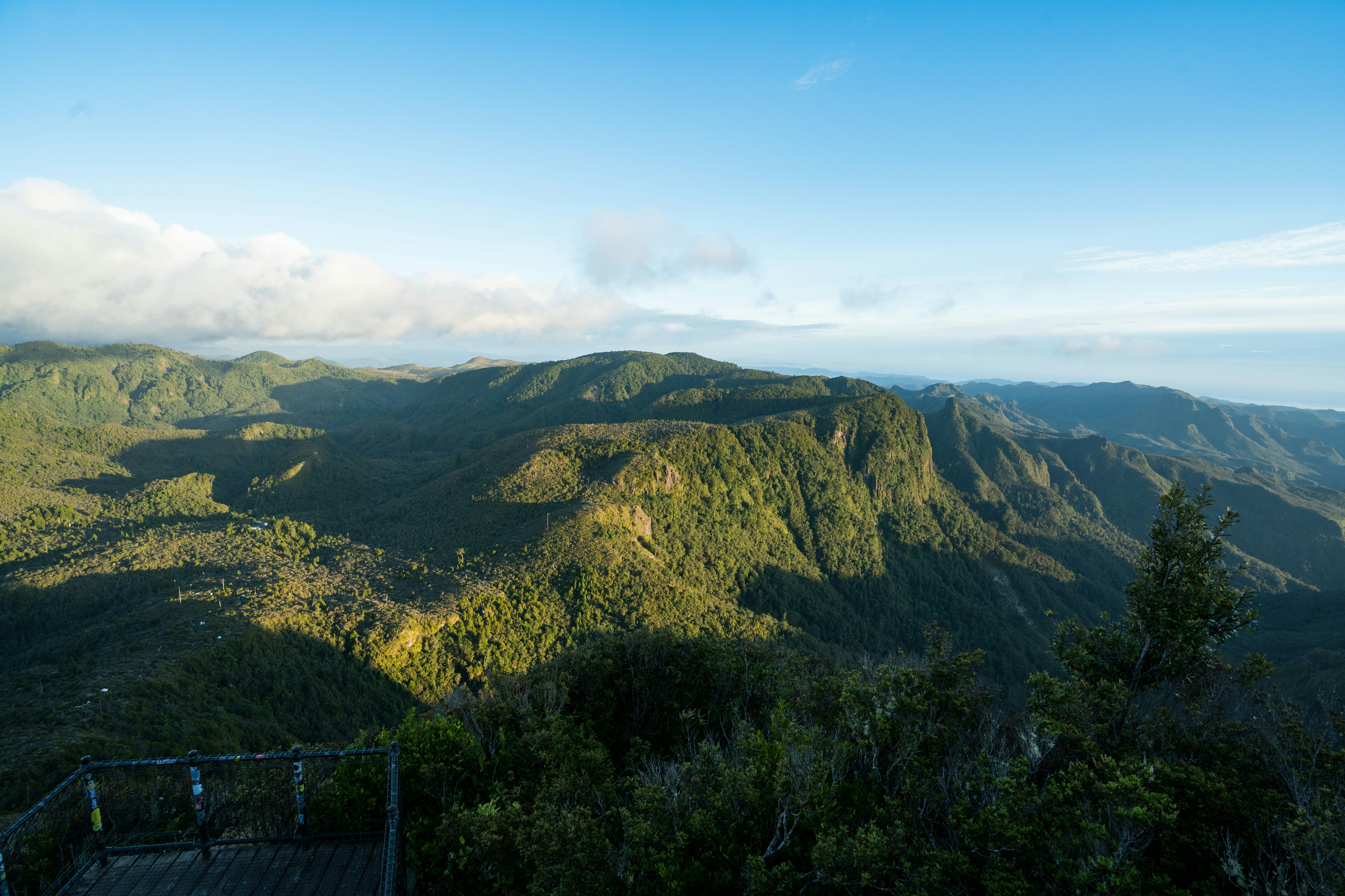 Photo by countingframez