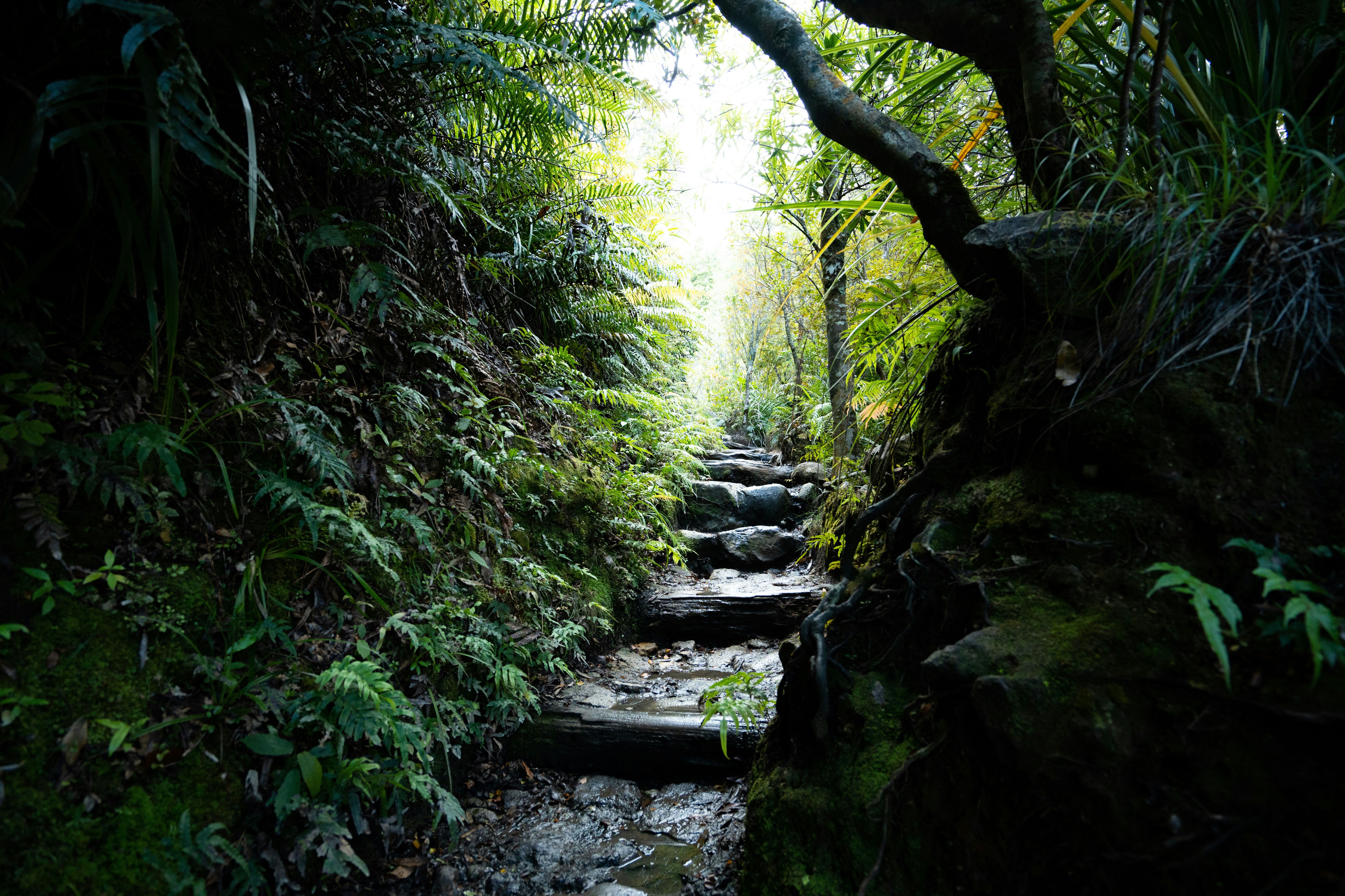 Photo by countingframez