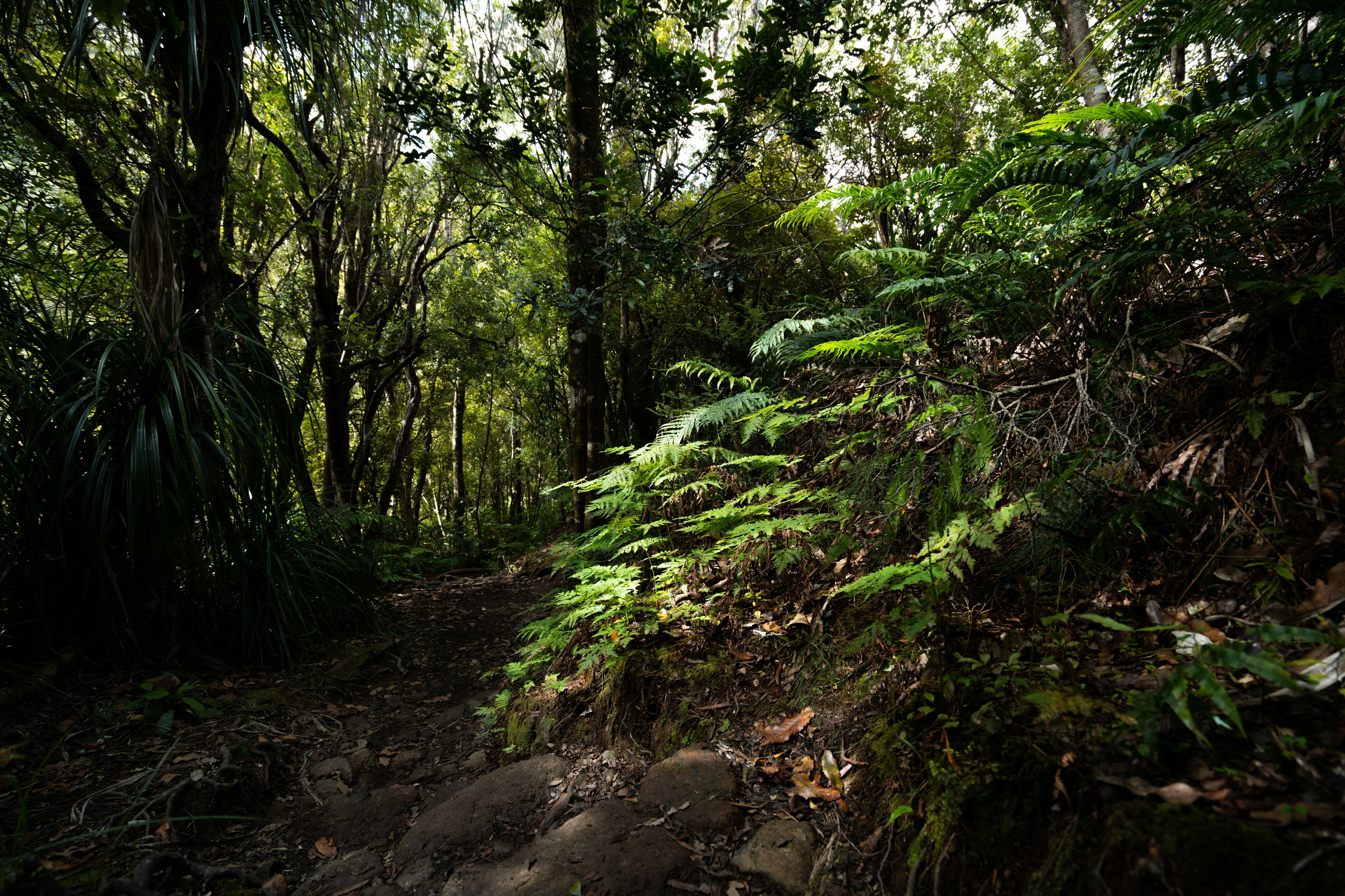 Photo by countingframez