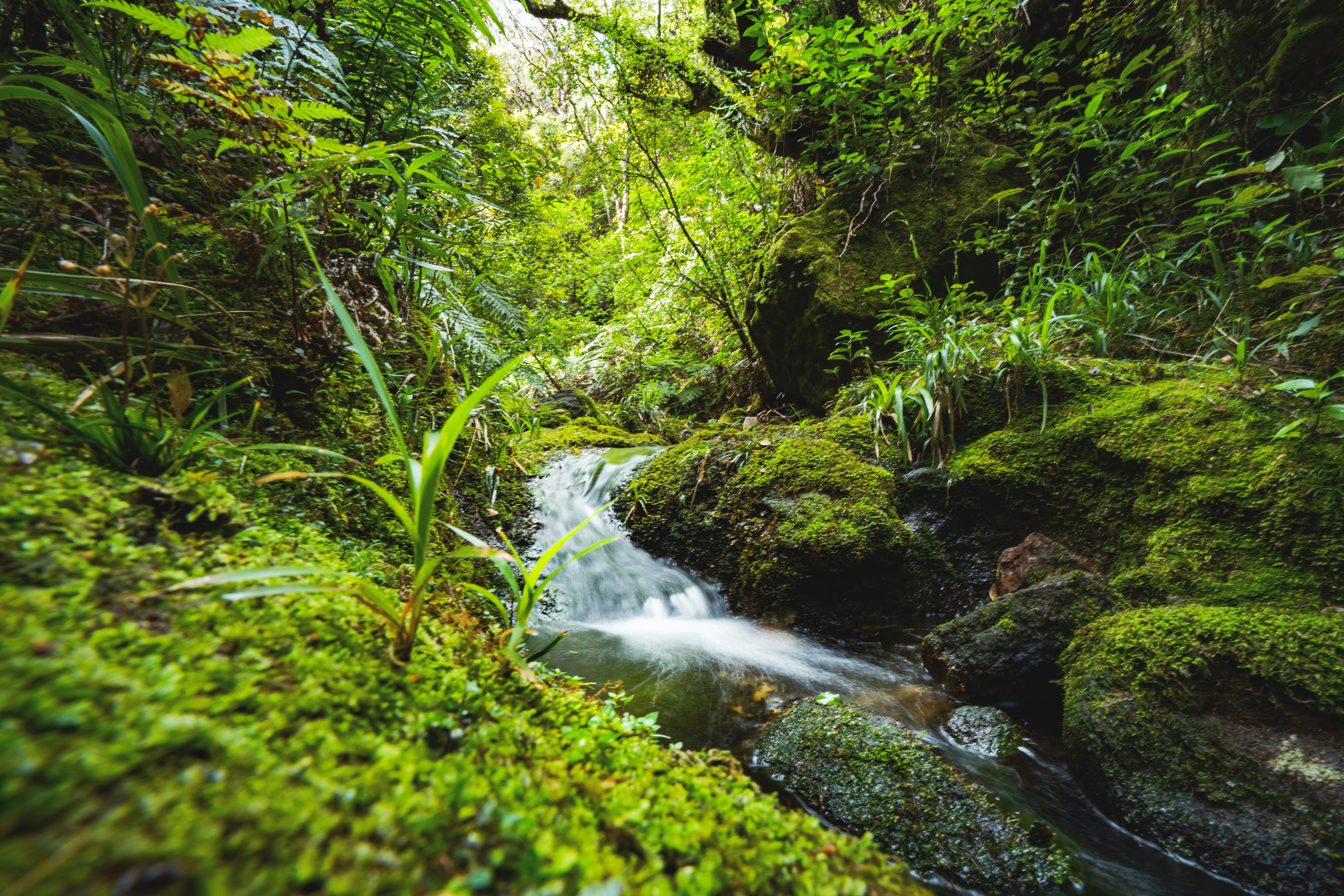 Photo by countingframez