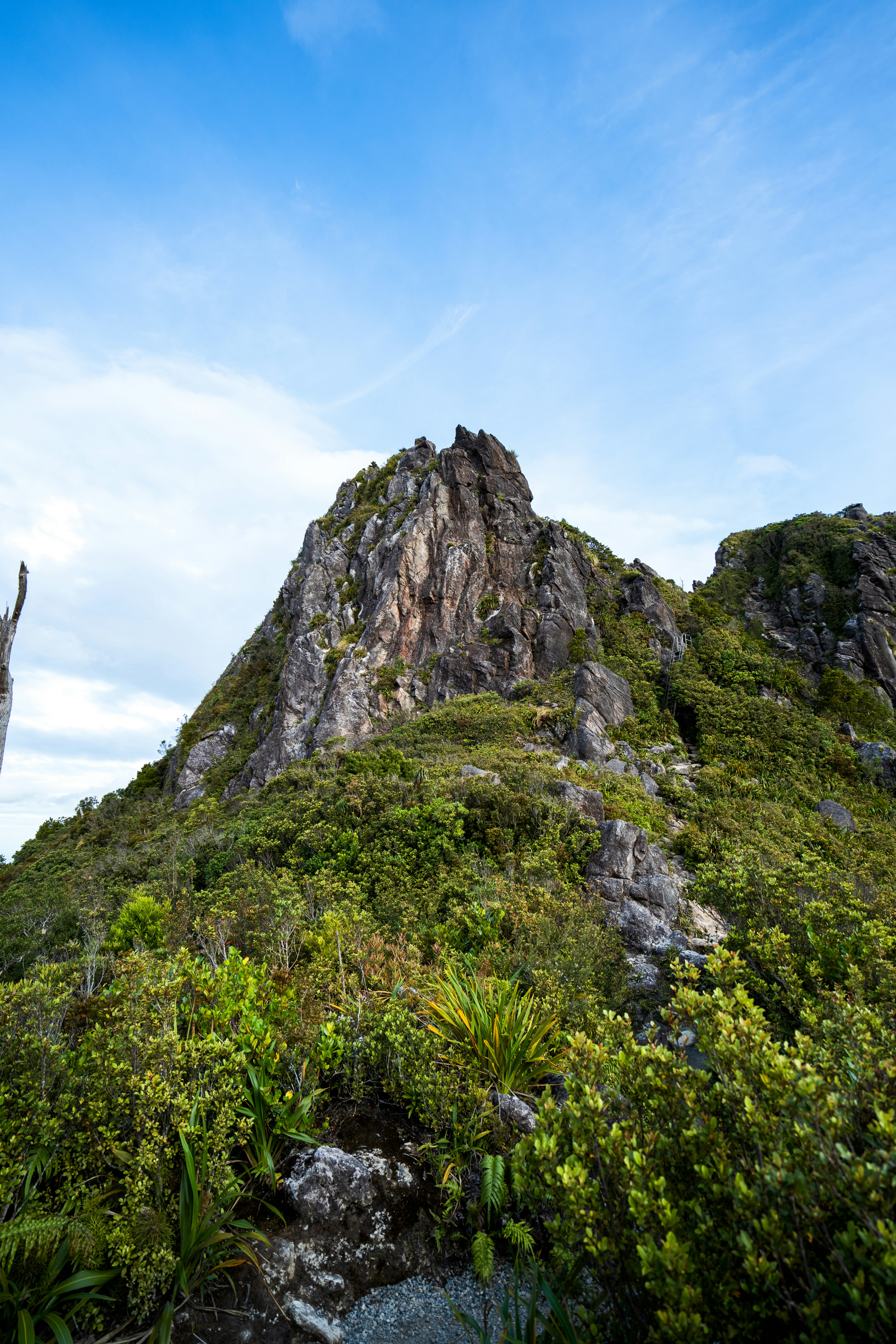 Photo by countingframez