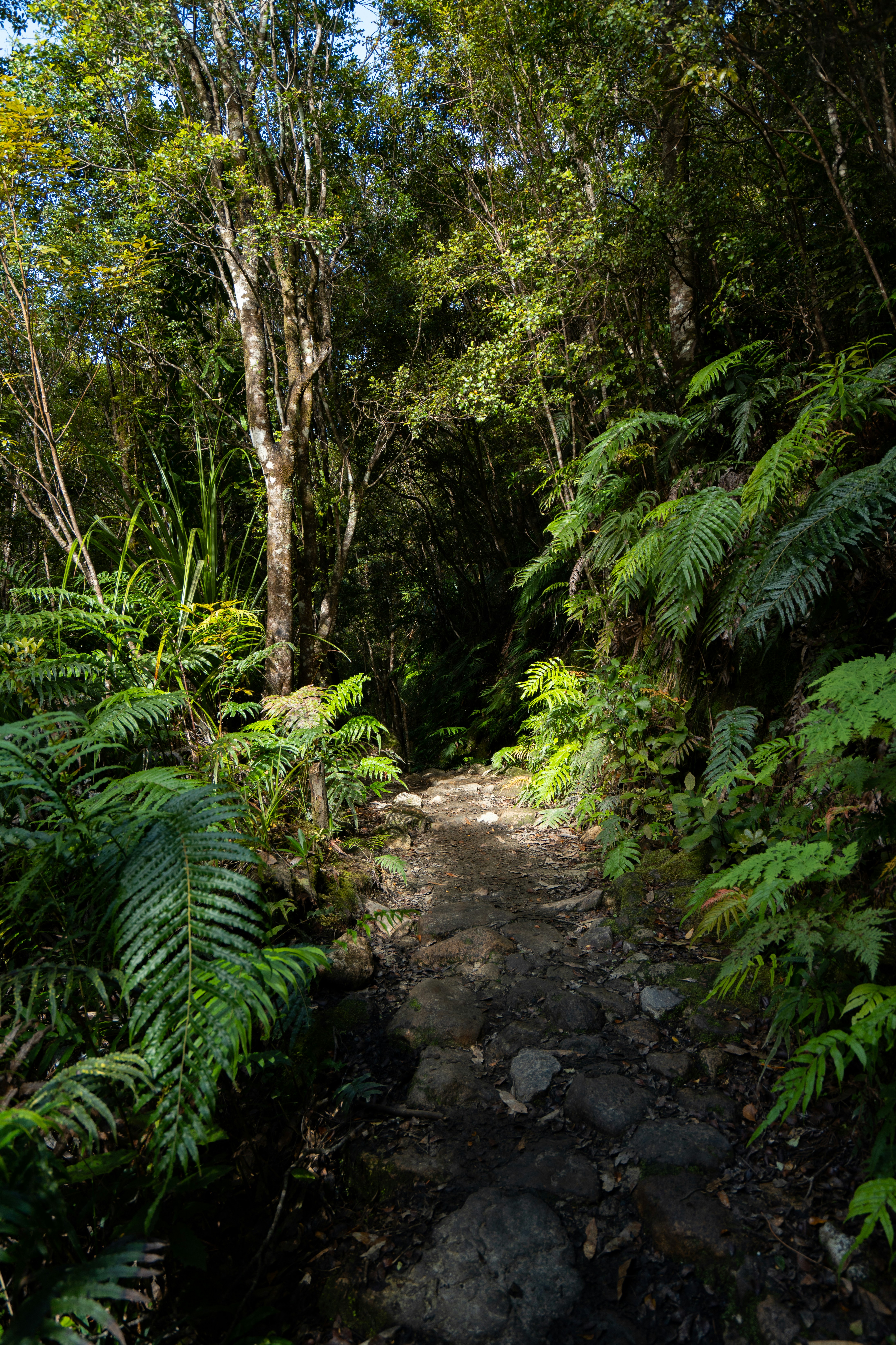 Photo by countingframez