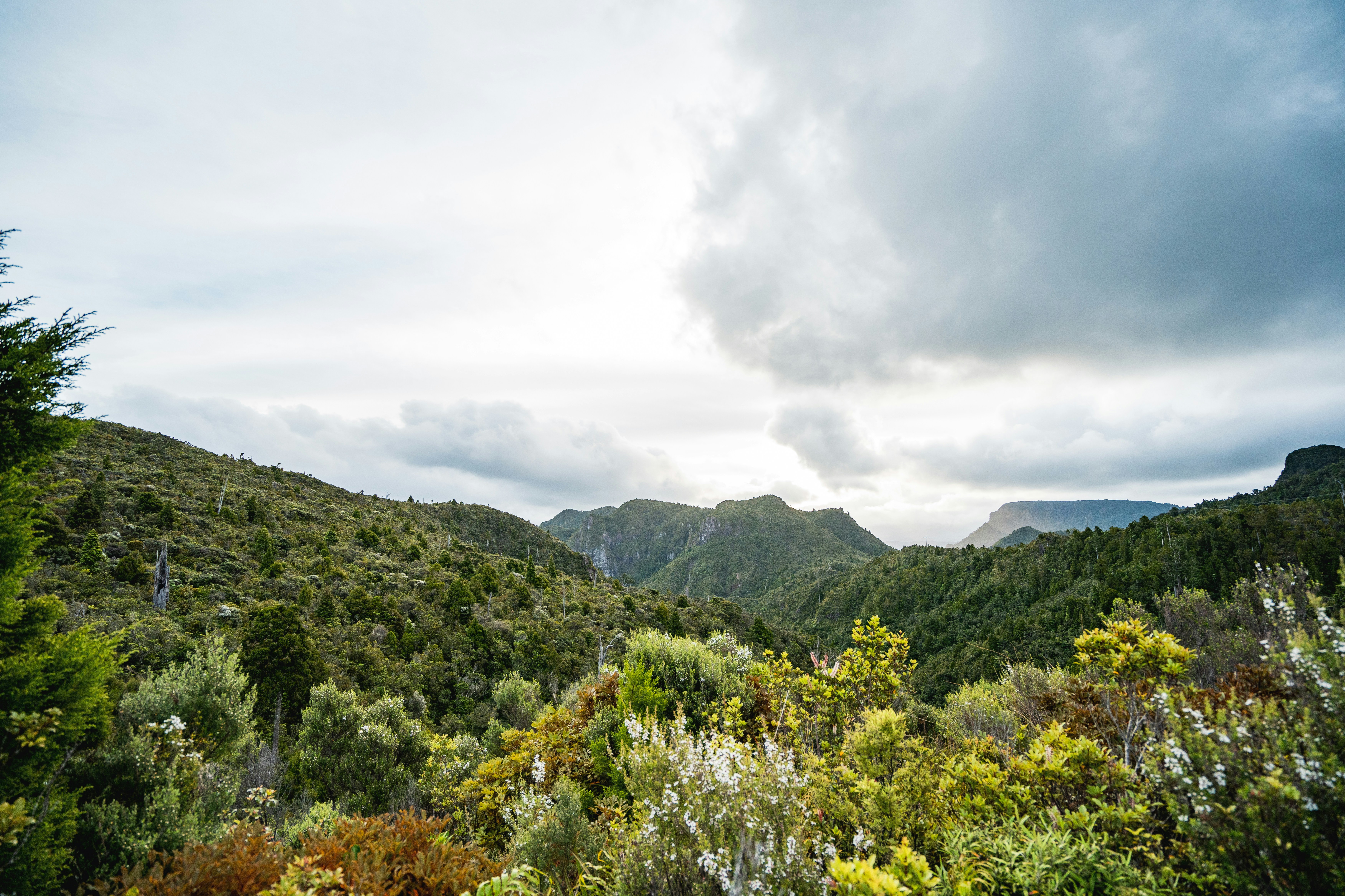 Photo by countingframez