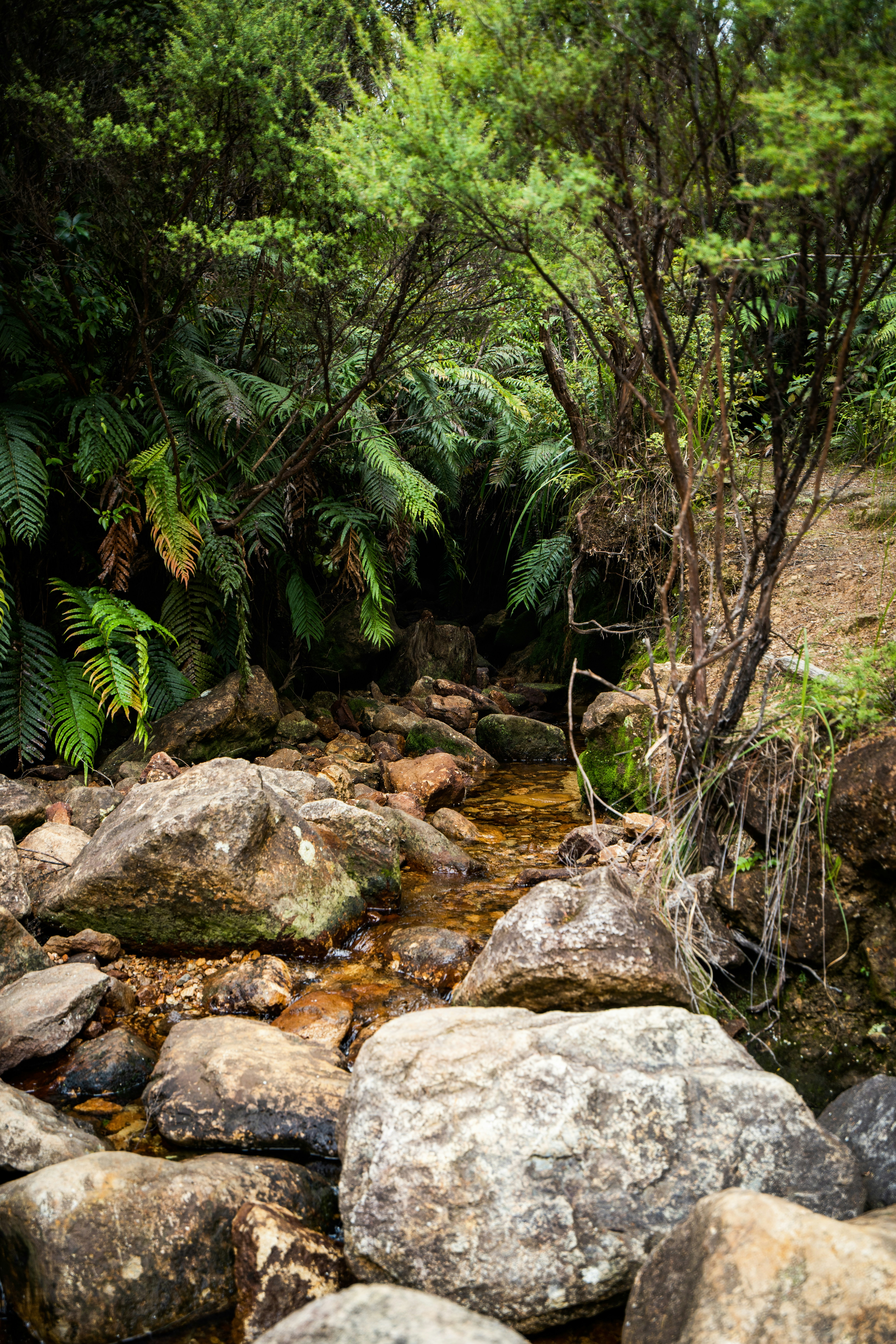 Photo by countingframez